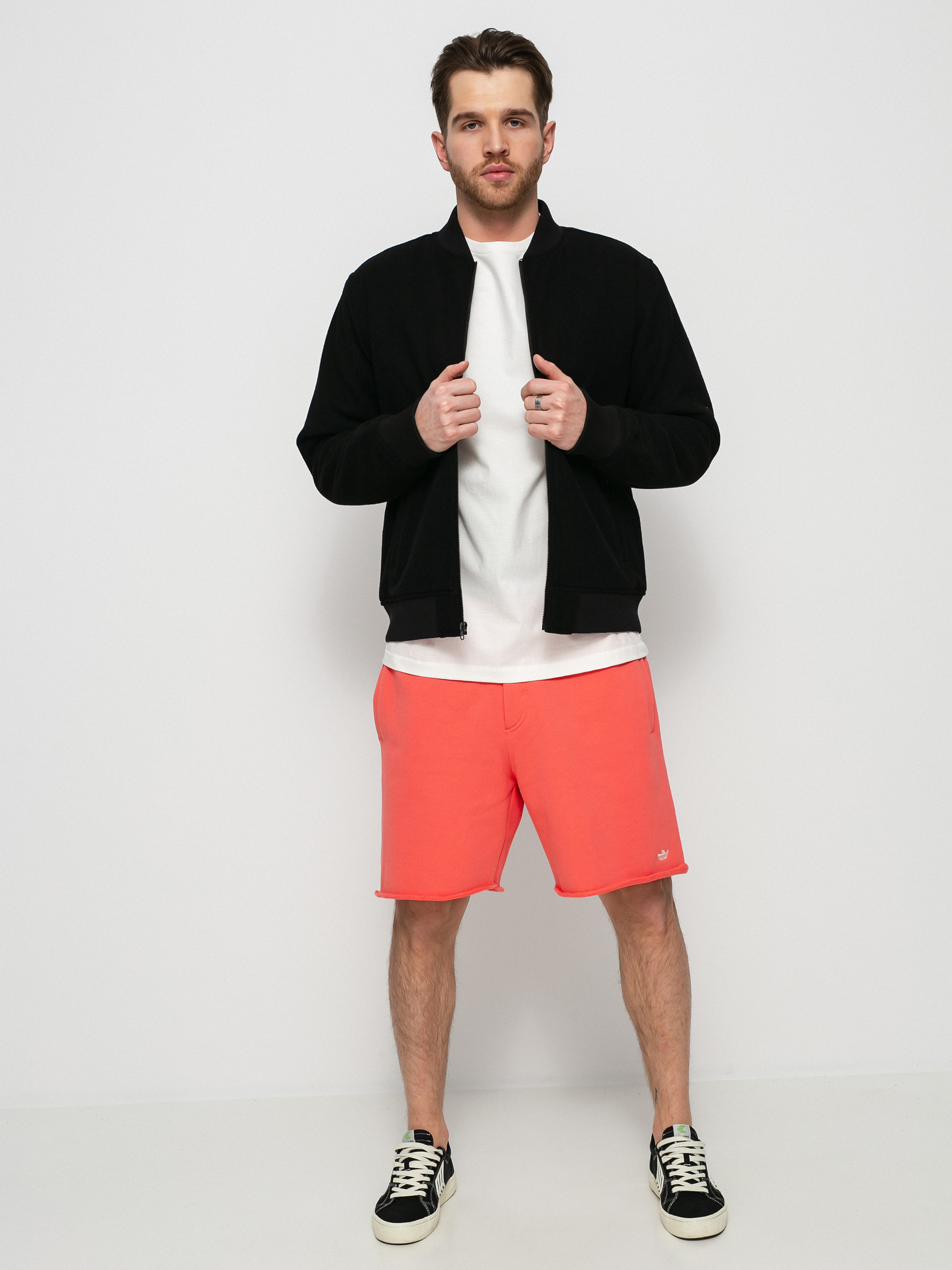 RVCA Troy Bomber Jacket (rvca black)