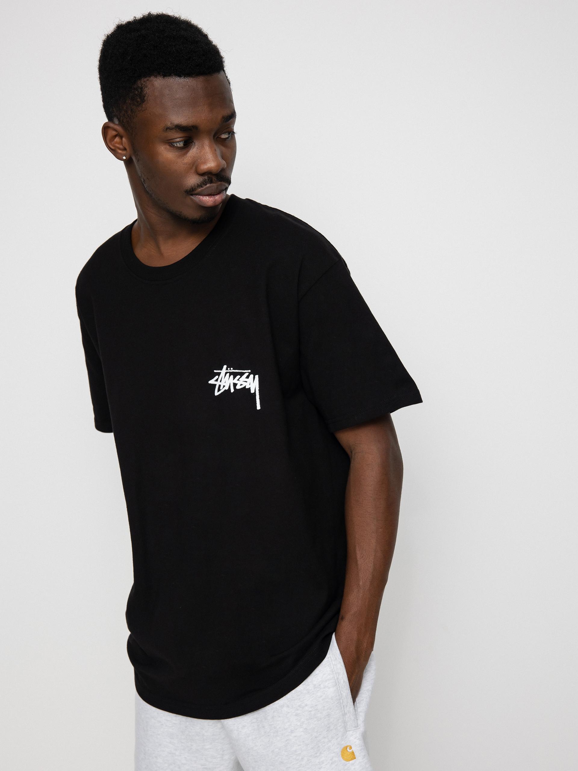 Stussy Fuzzy Dice T-shirt (black)