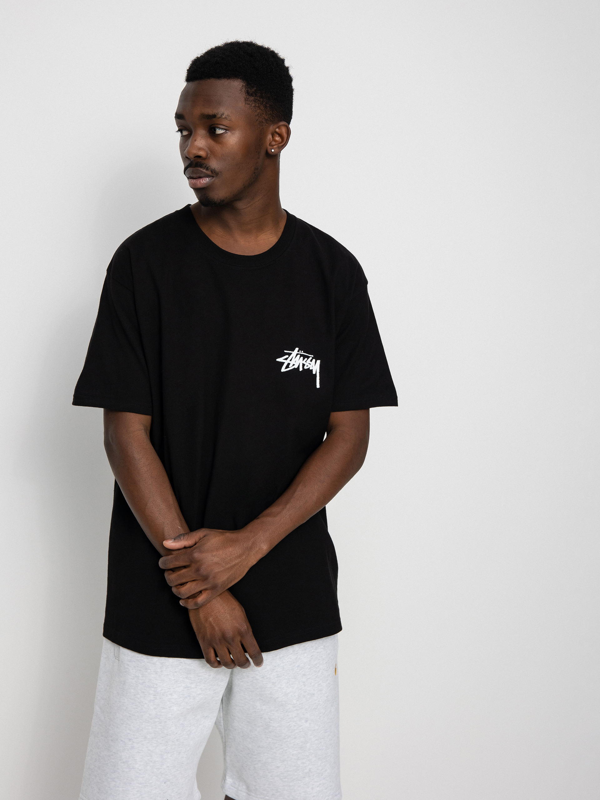 ステューシー FUZZY DICE STUSSY Tシャツ 黒 L//ダイス Stussy Fuzzy Dice Tee Black Men's - SS22 - US