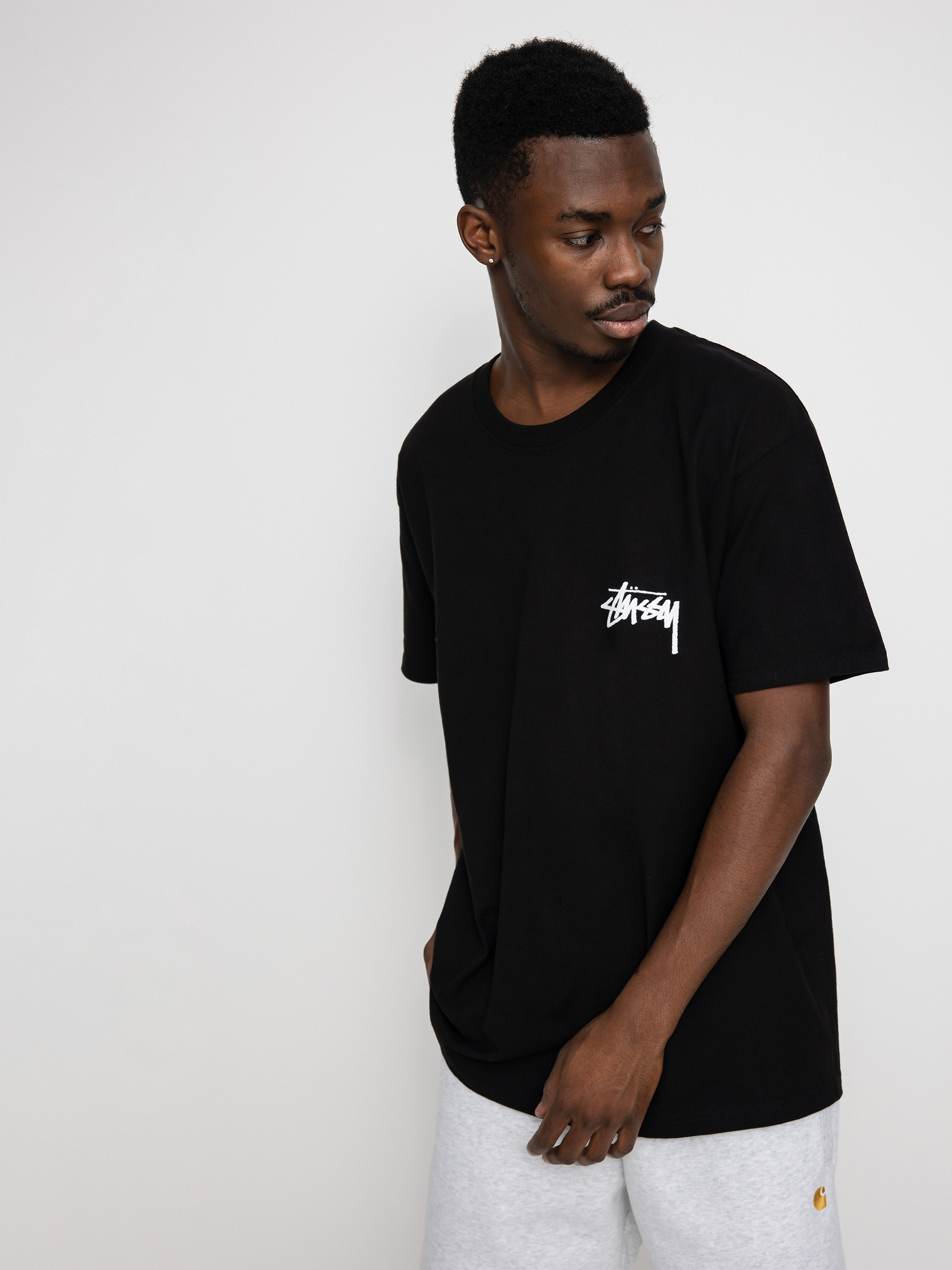 Stussy Fuzzy Dice T-shirt (black)
