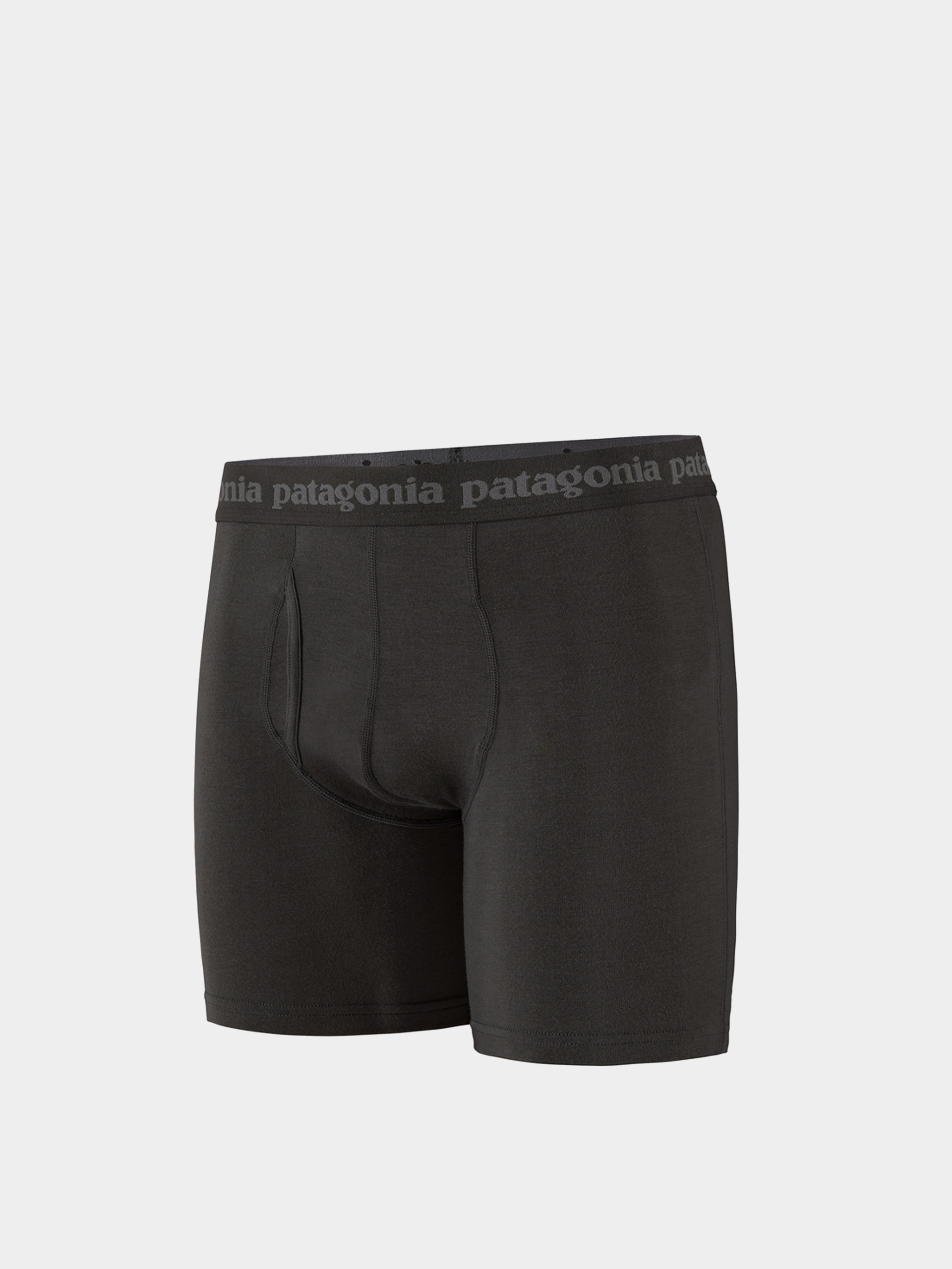 Patagonia Essential Briefs 6 in Boxershorts (black)