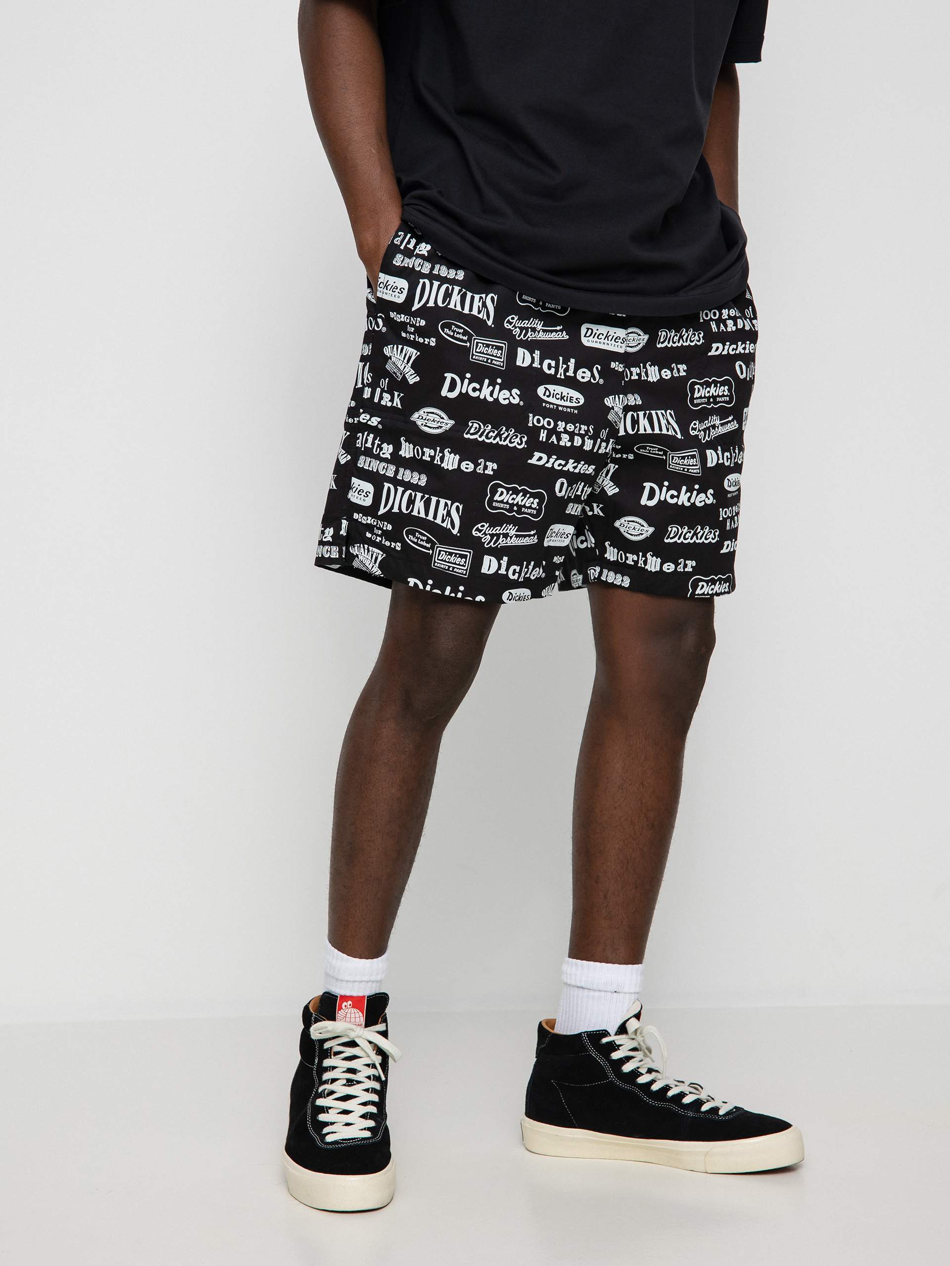 Dickies 100 Aop Shorts (black)