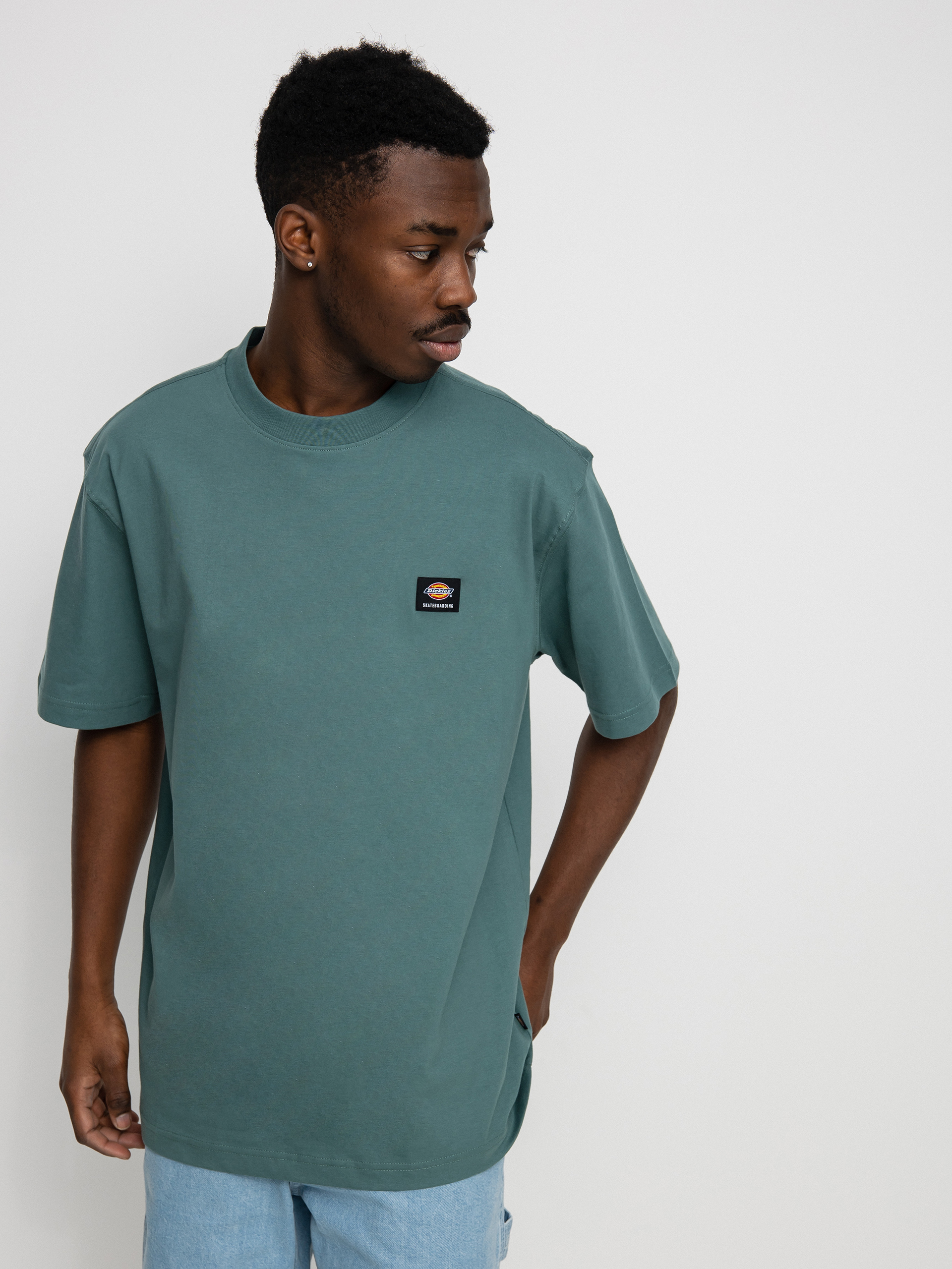 Dickies Mount Vista T-shirt (lincoln green)