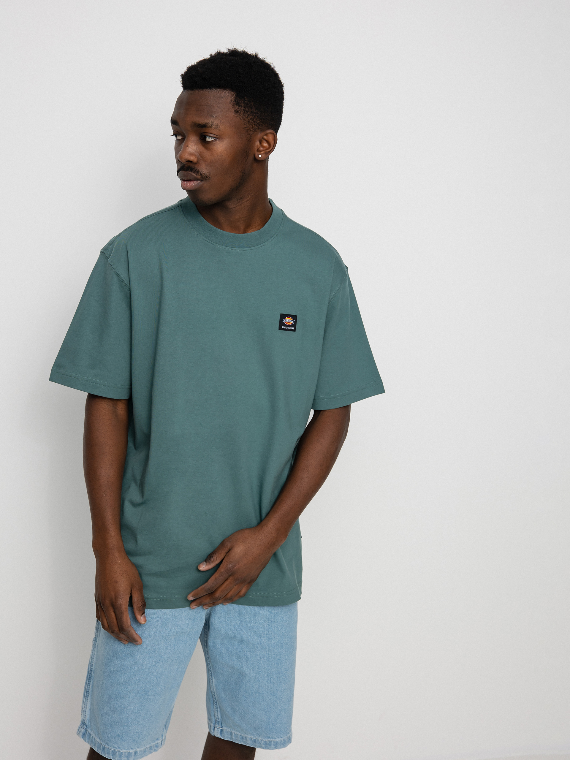 Dickies Mount Vista T-shirt (lincoln green)