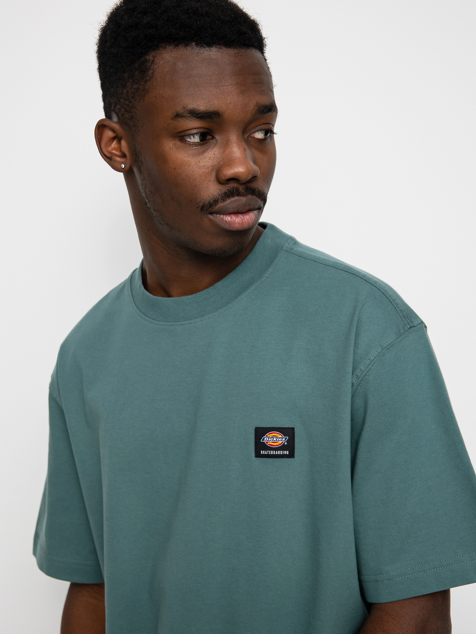 Dickies Mount Vista T-shirt (lincoln green)