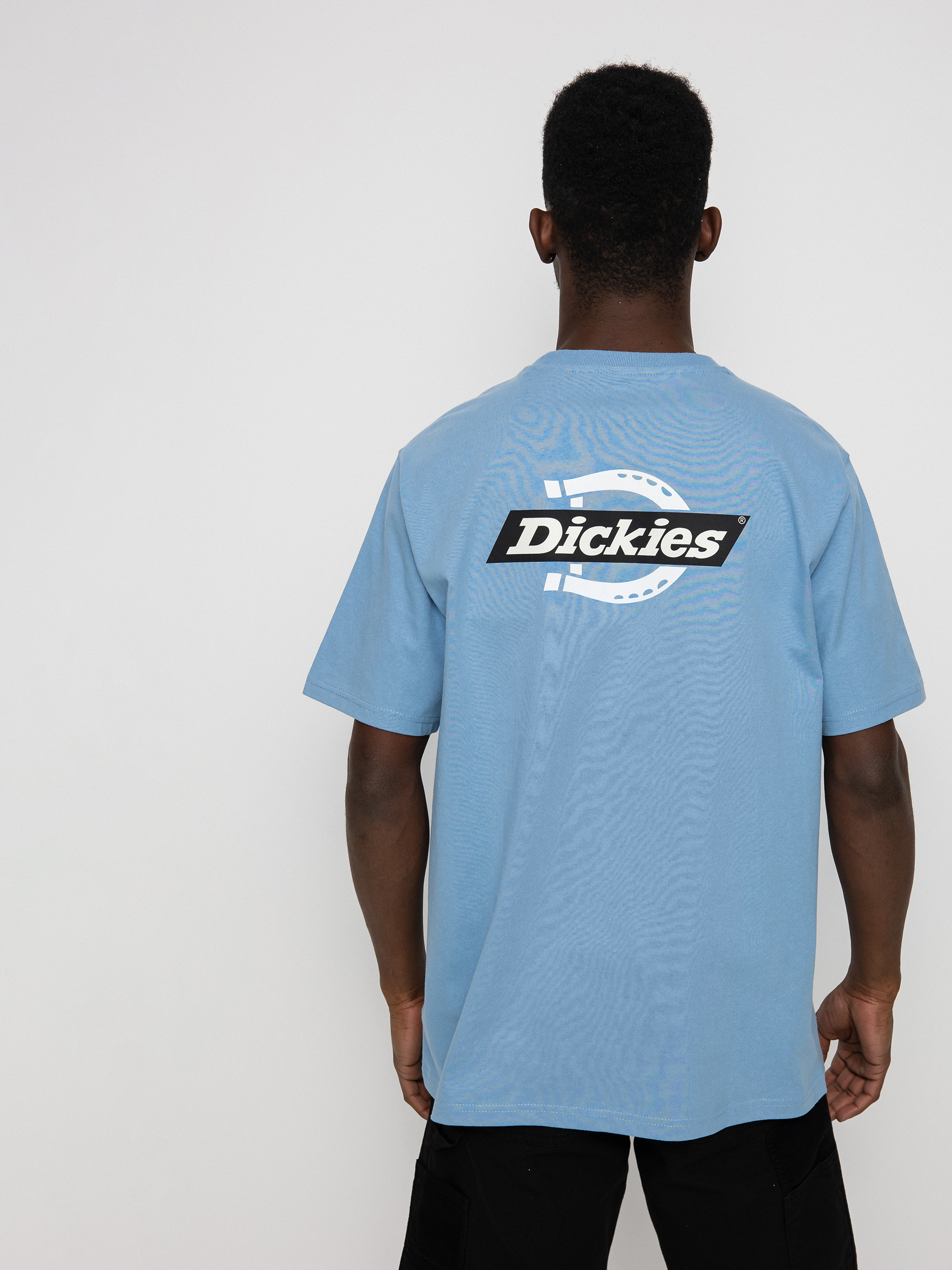 Dickies Ruston T-shirt (allure)