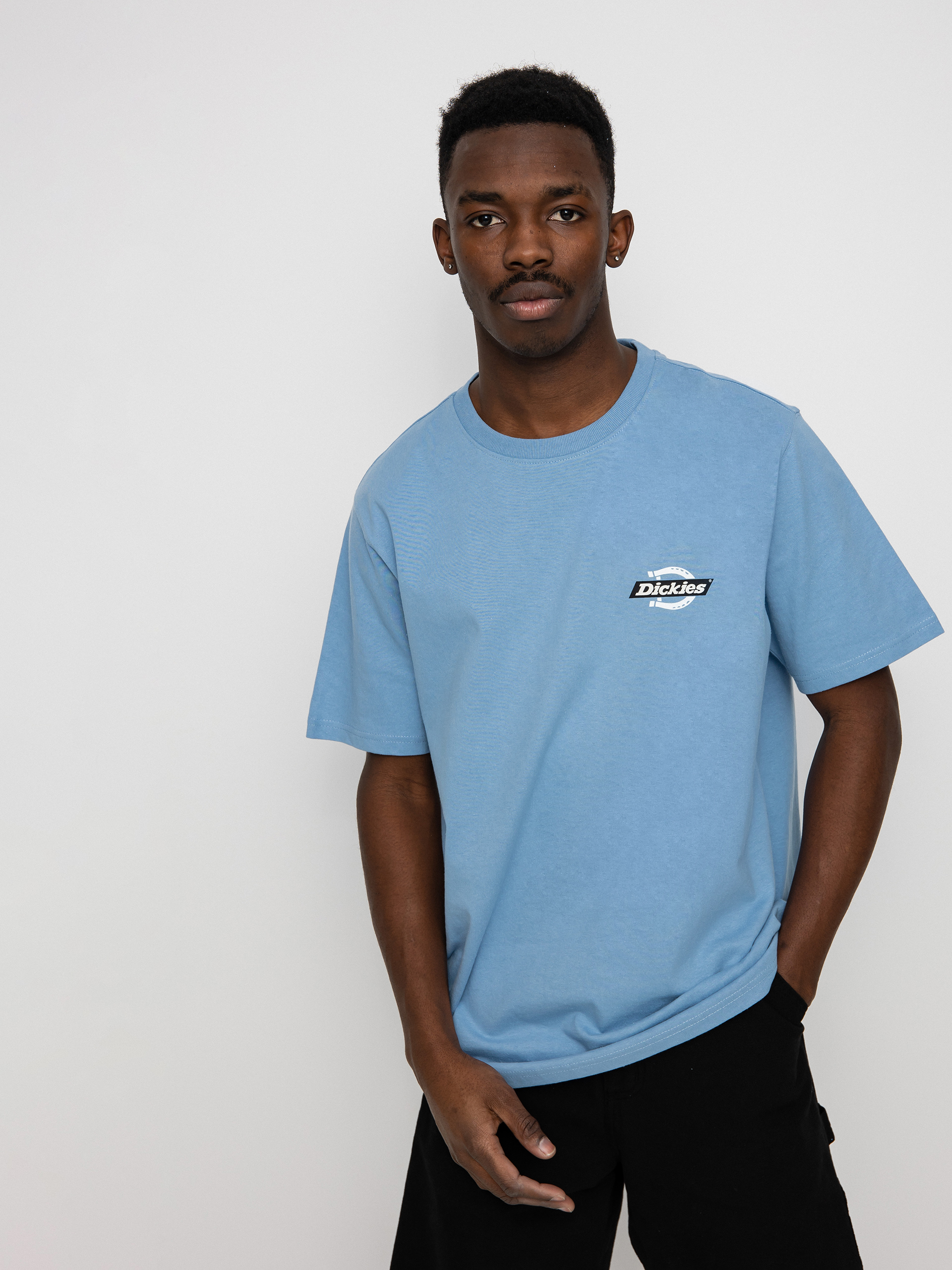 Dickies Ruston T-shirt (allure)