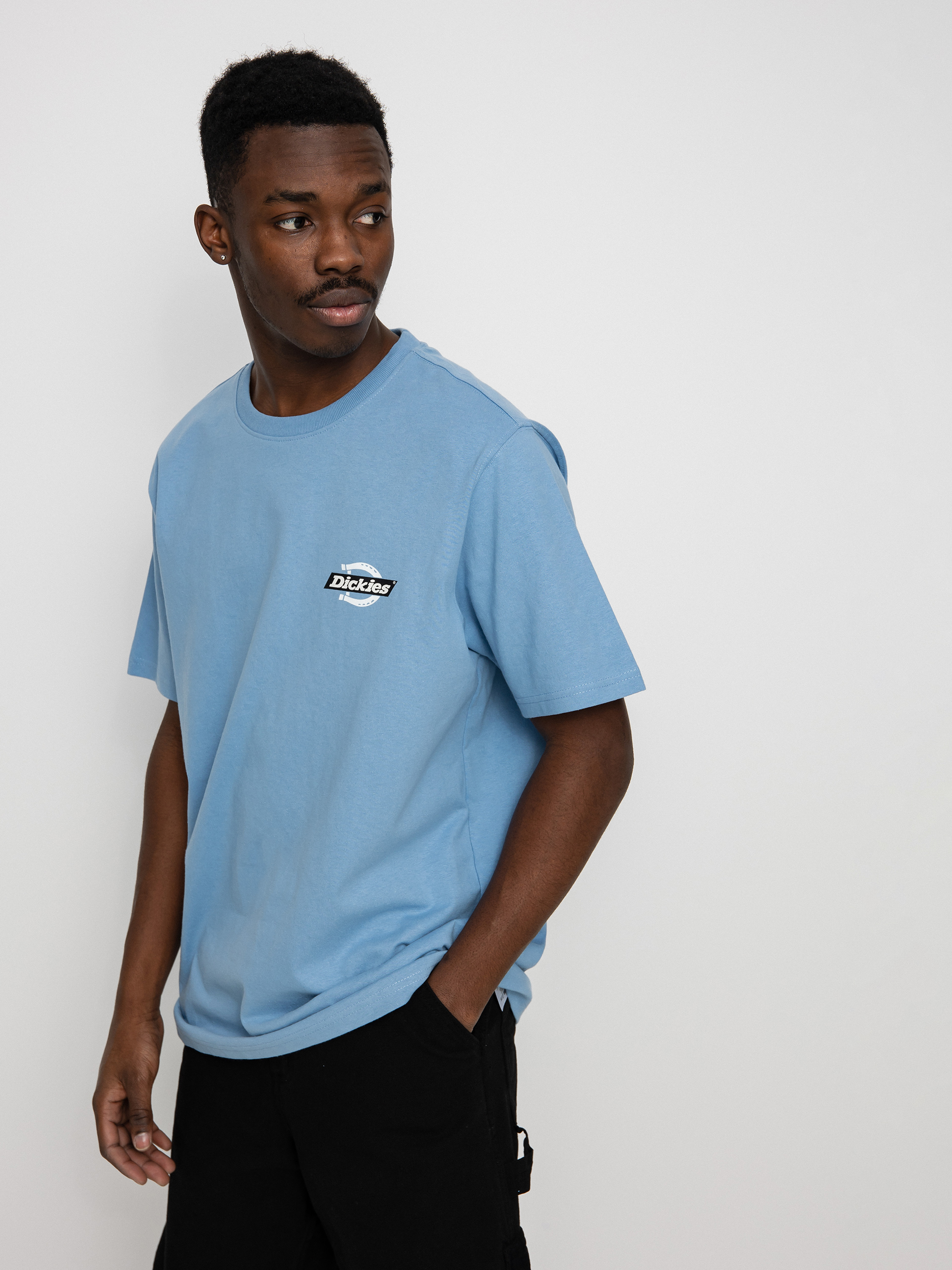 Dickies Ruston T-shirt (allure)