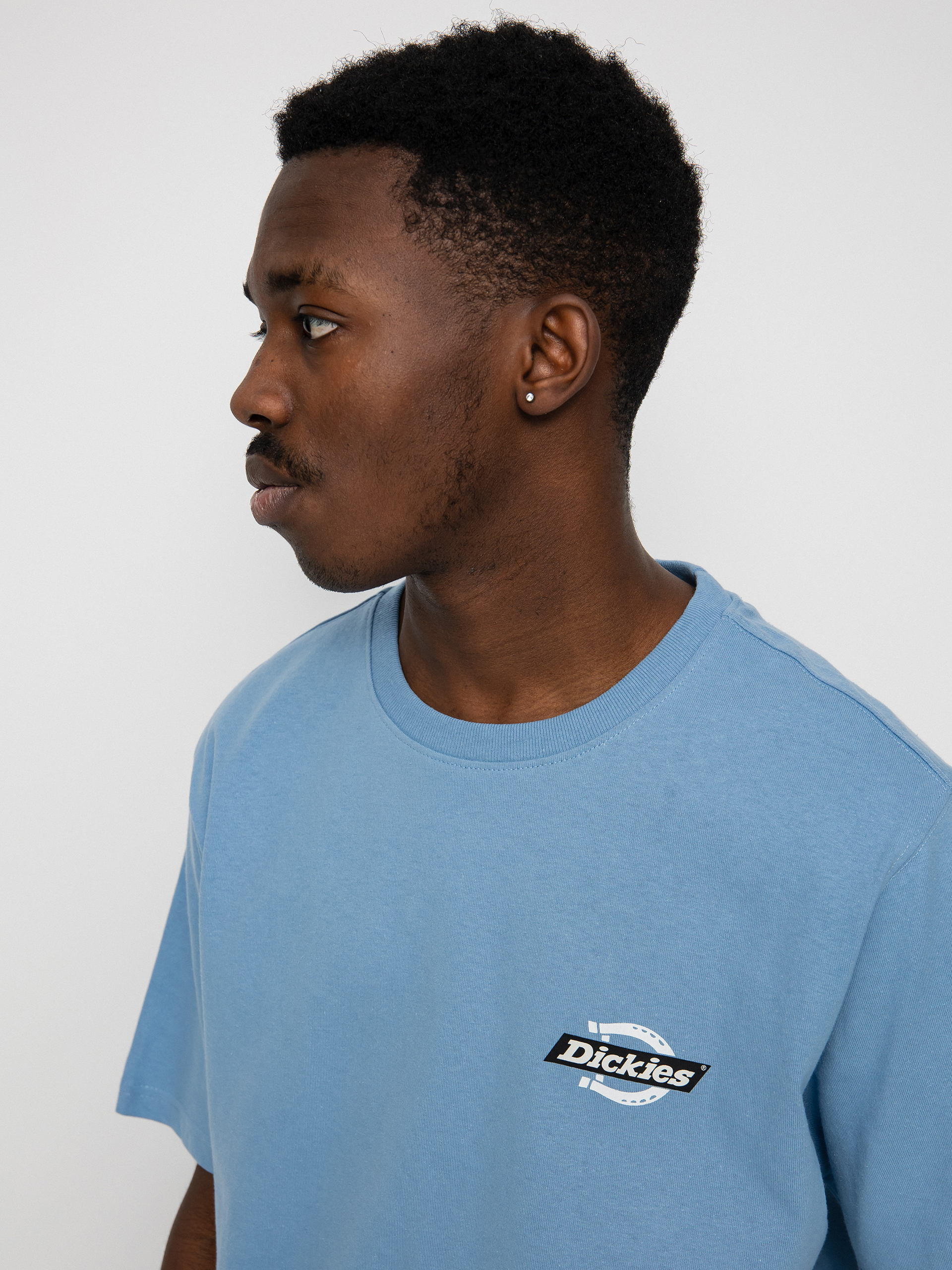 Dickies Ruston T-shirt (allure)