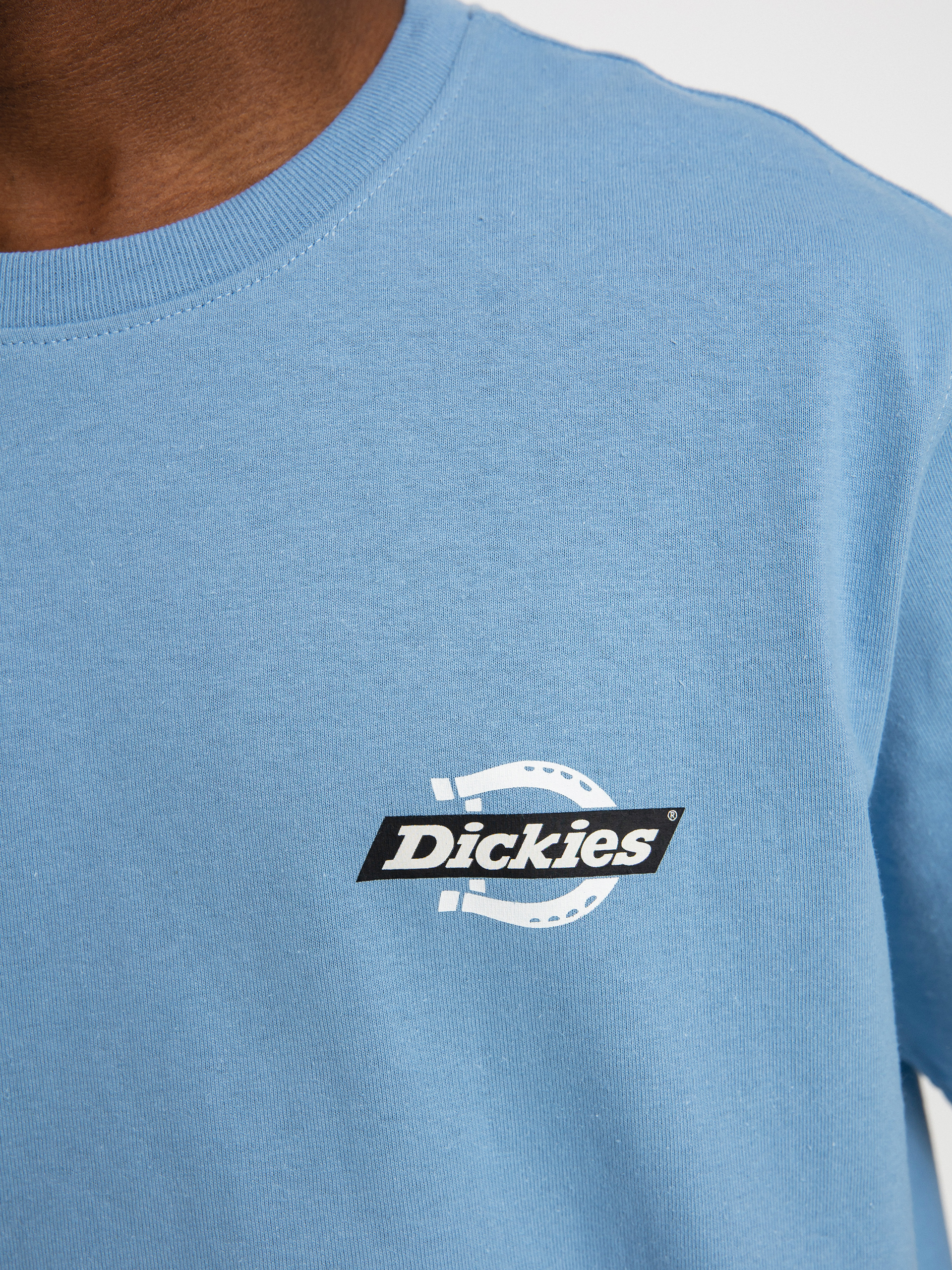 Dickies Ruston T-shirt (allure)
