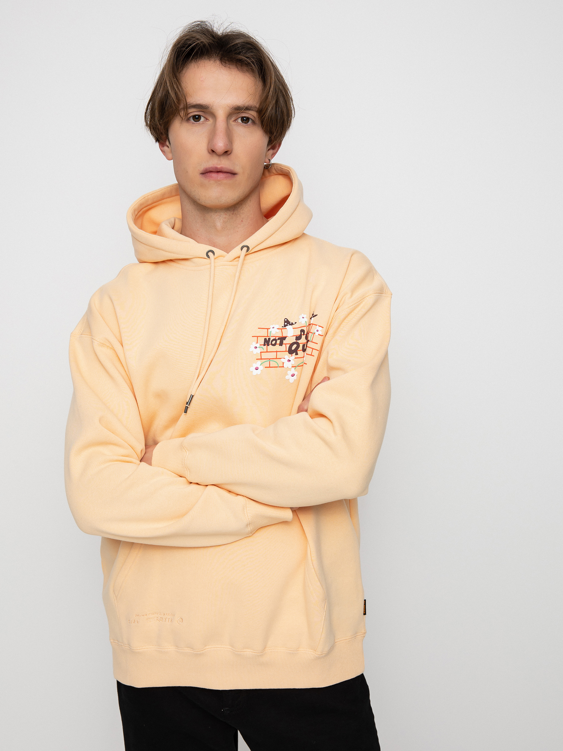 Volcom Egle Zvirblyte HD Hoodie (cream blush)