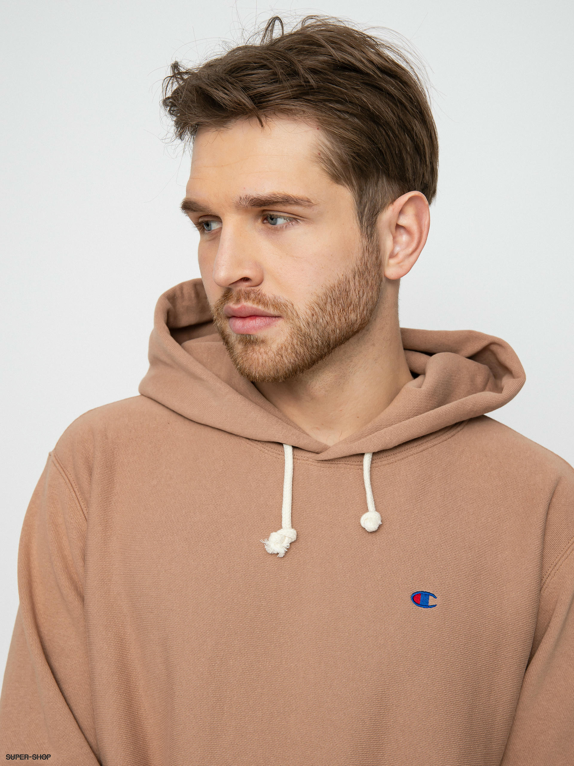 Champion 3 hot sale color hoodie