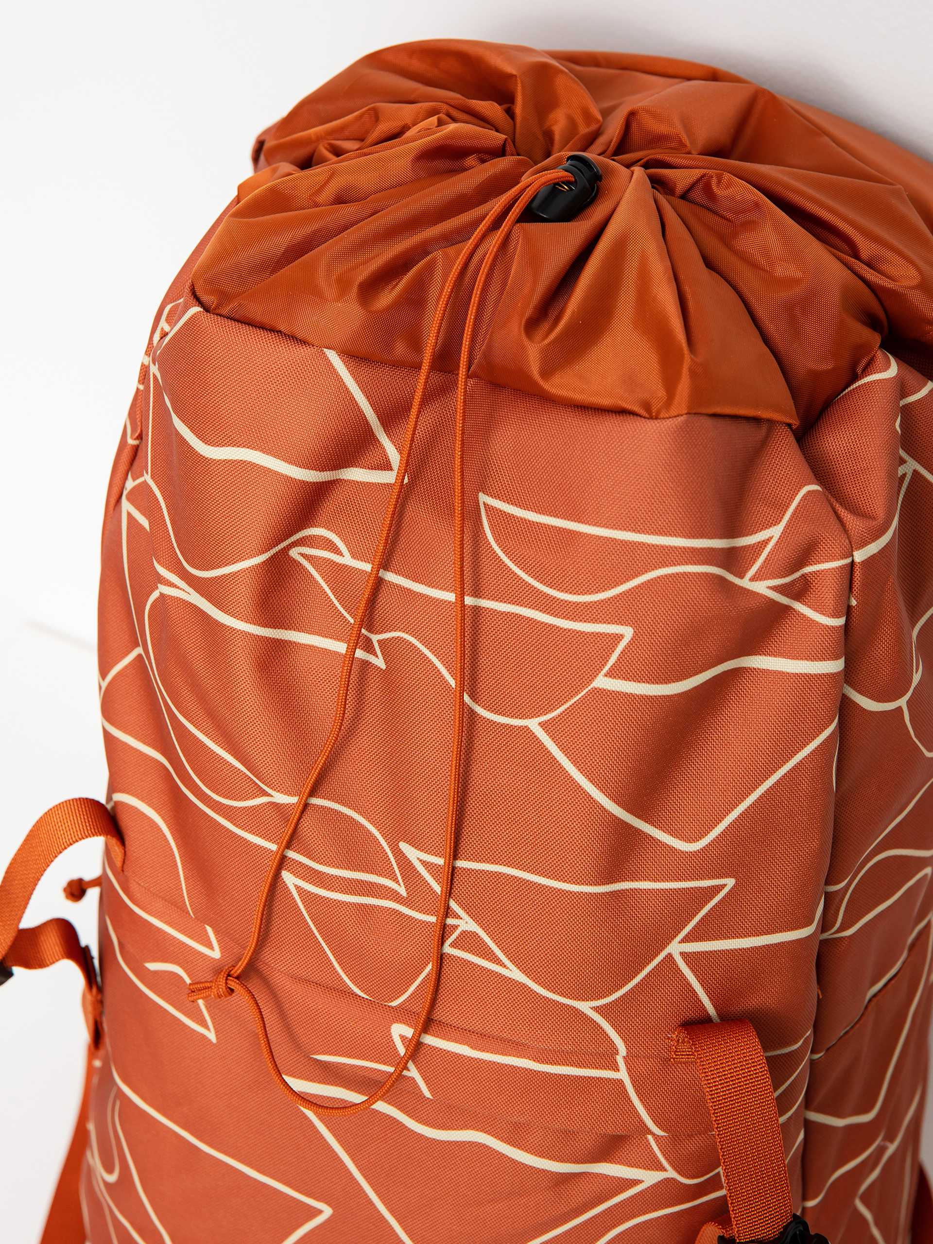 Patagonia Arbor Lid Pack Backpack (bartolome big sandhill rust)