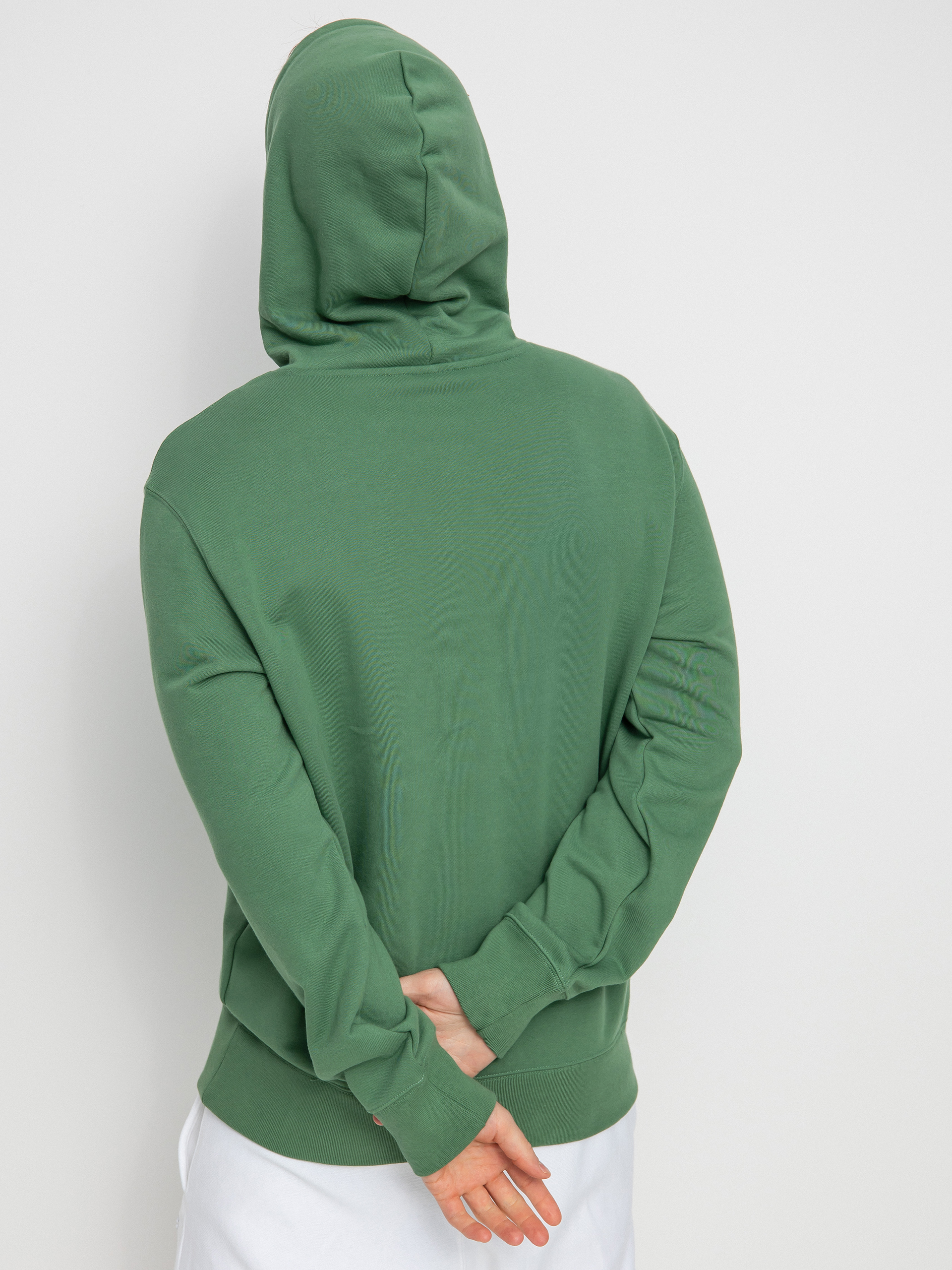 Champion Hooded Sweatshirt 217060 HD Hoodie (diy)