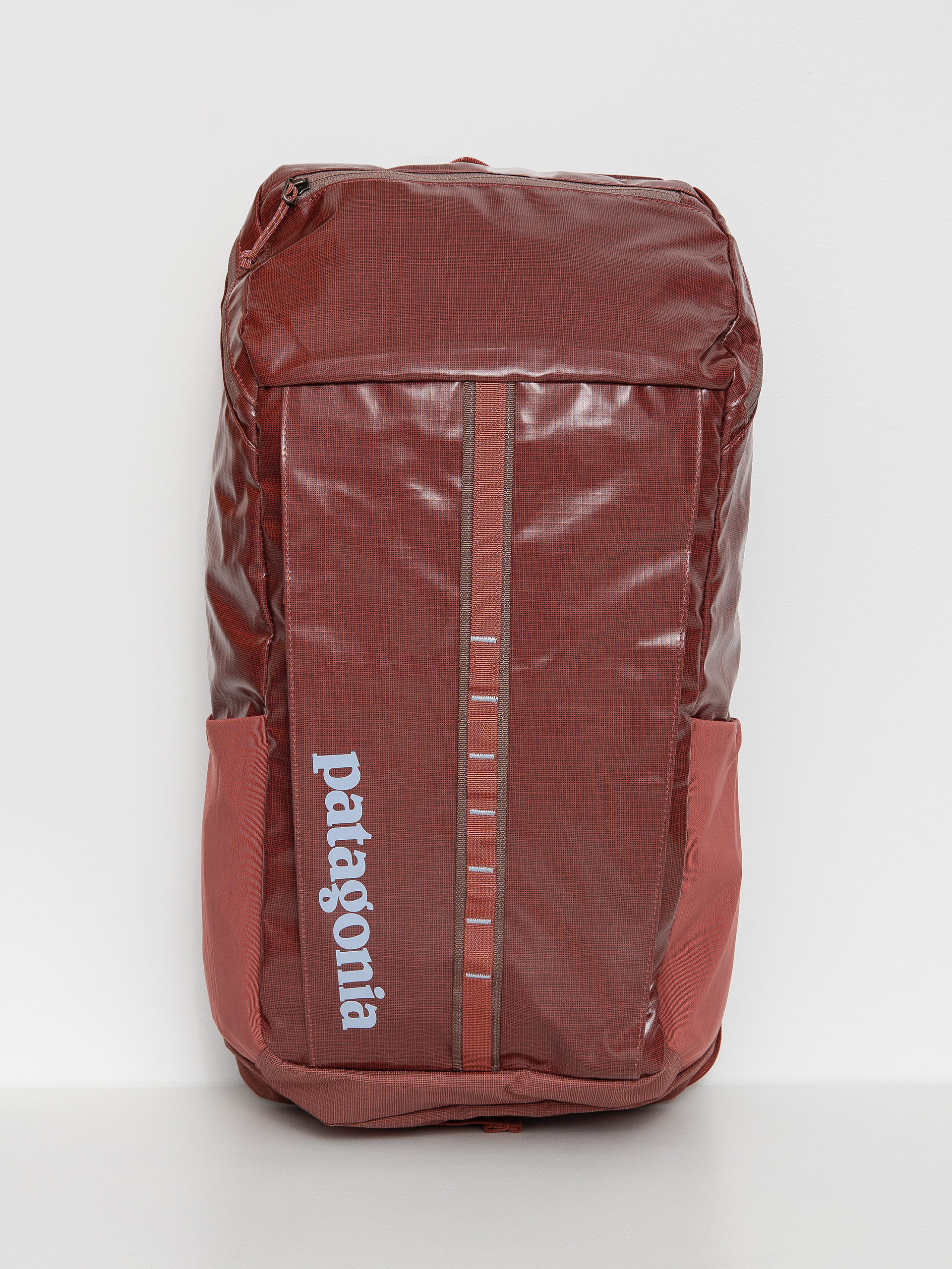 Patagonia hotsell leather backpack