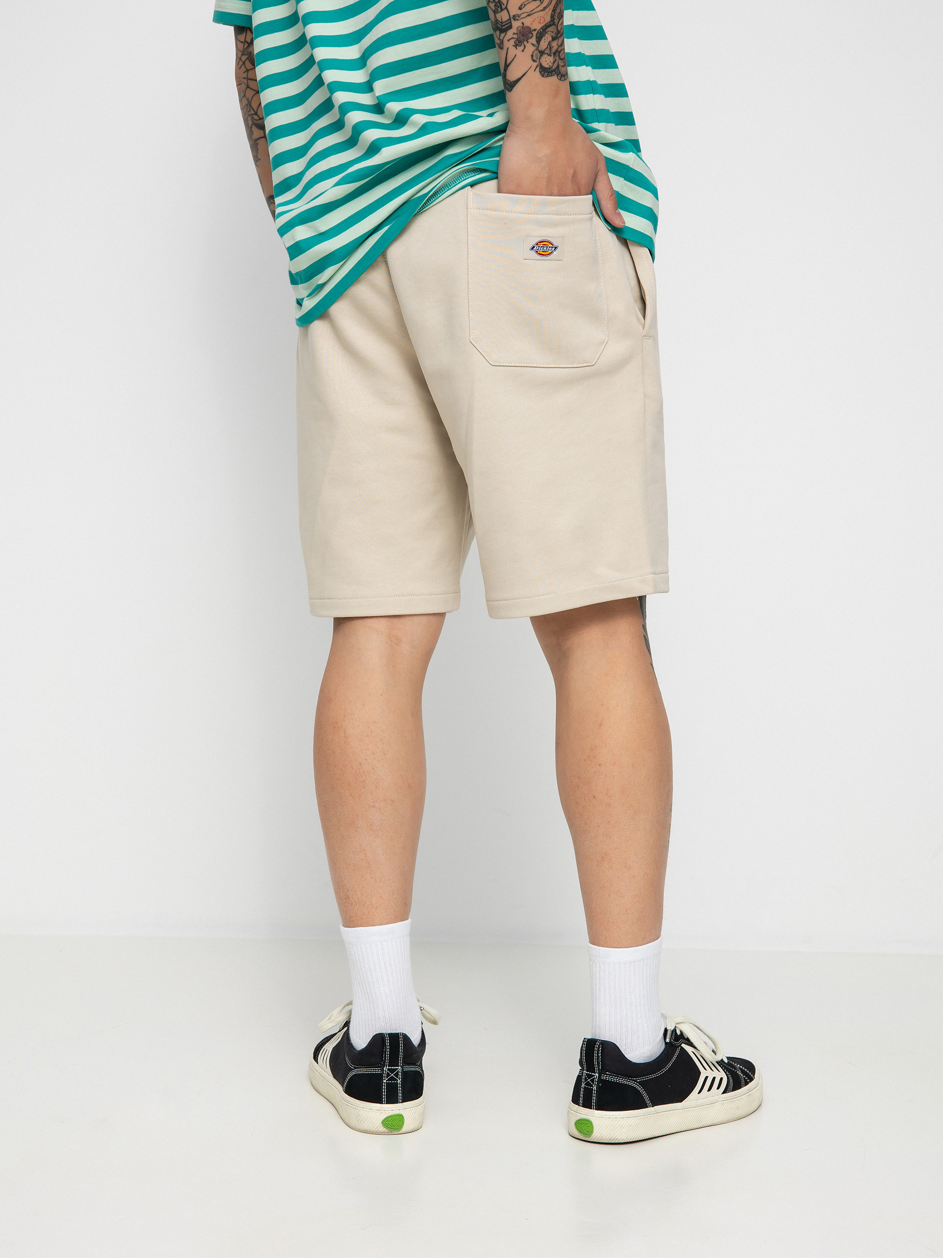 Dickies Champlin Shorts (cement)