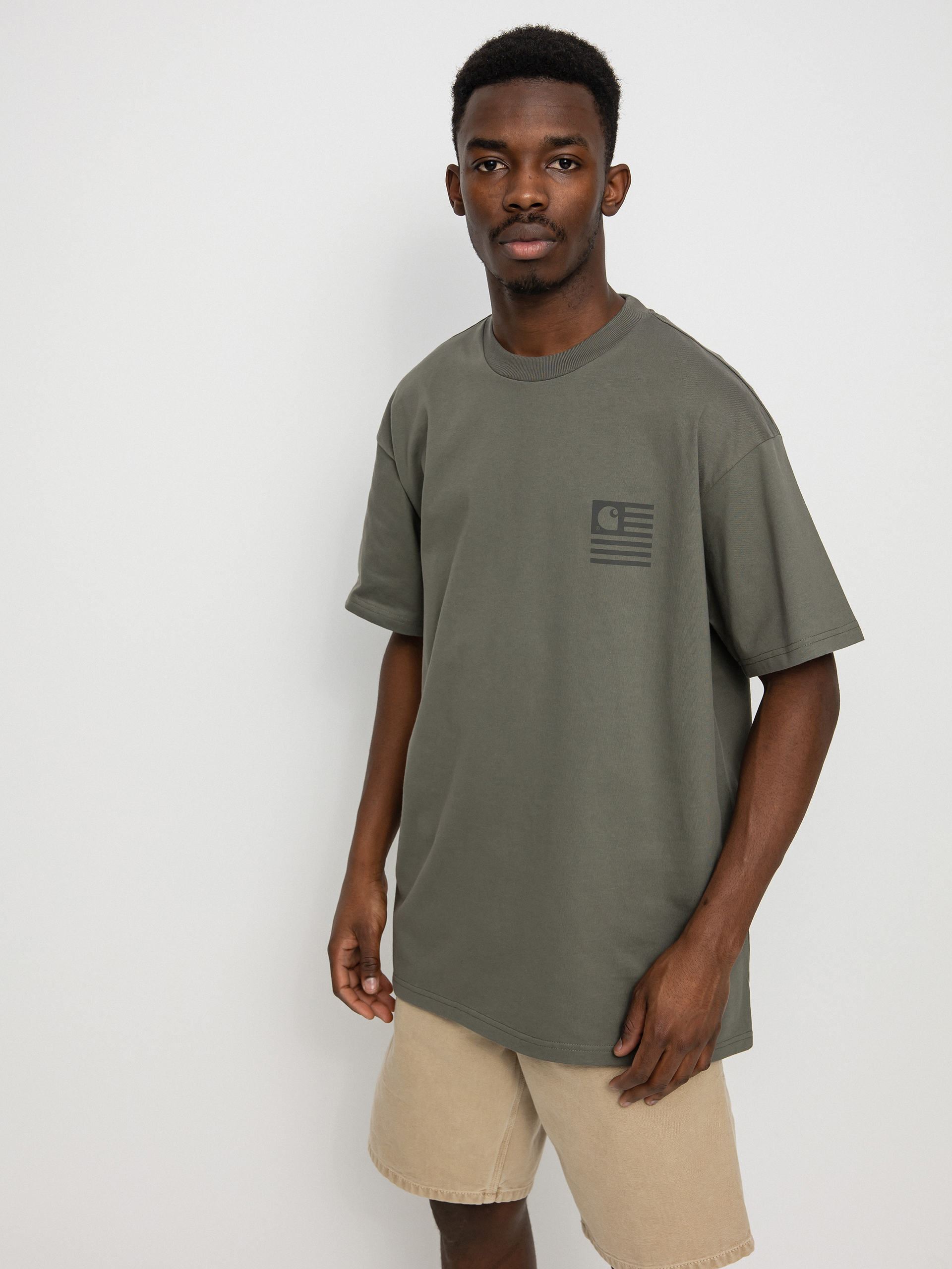 Carhartt WIP Medley State T-shirt (thyme)