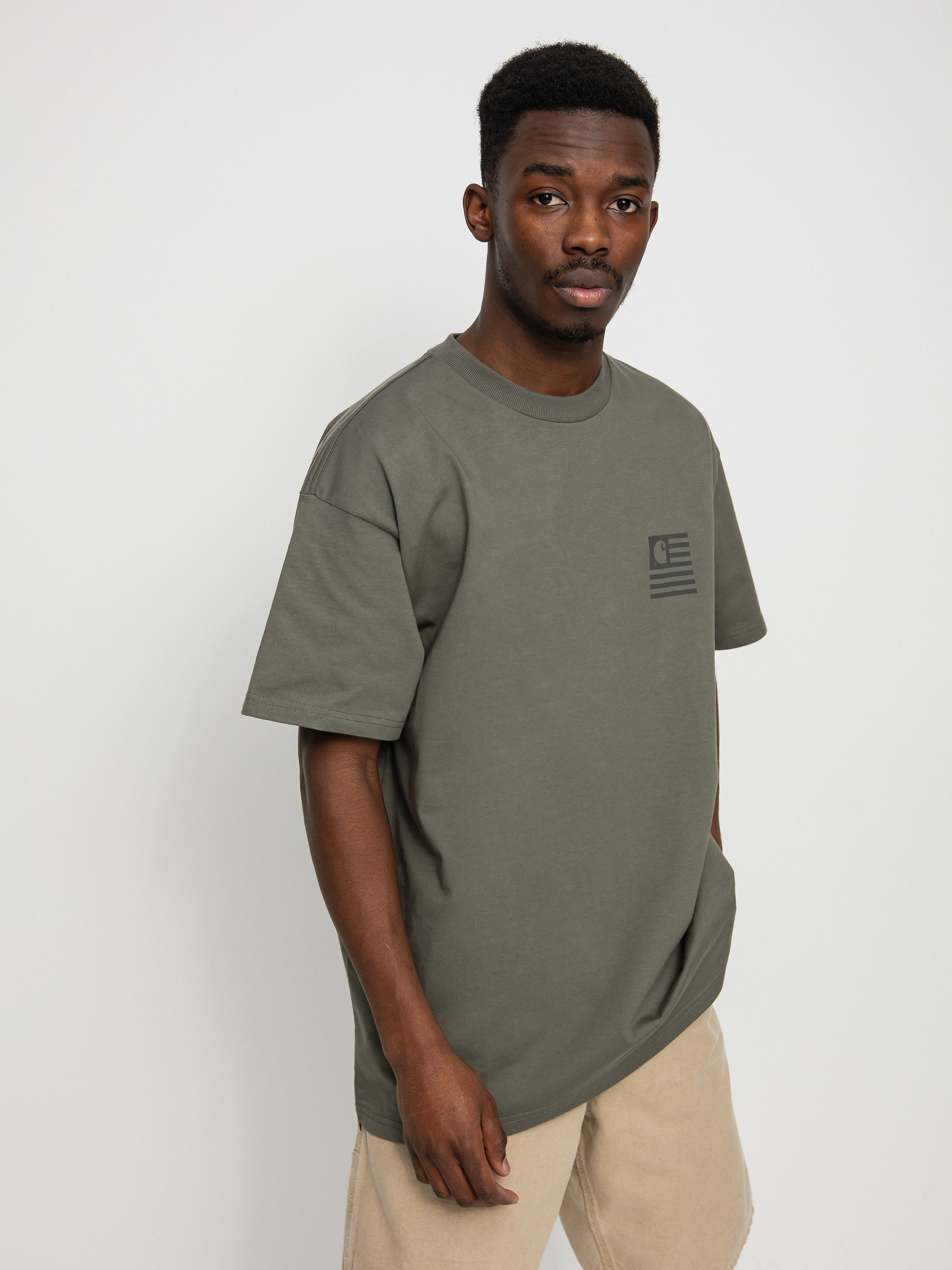 Carhartt WIP Medley State T-shirt (thyme)
