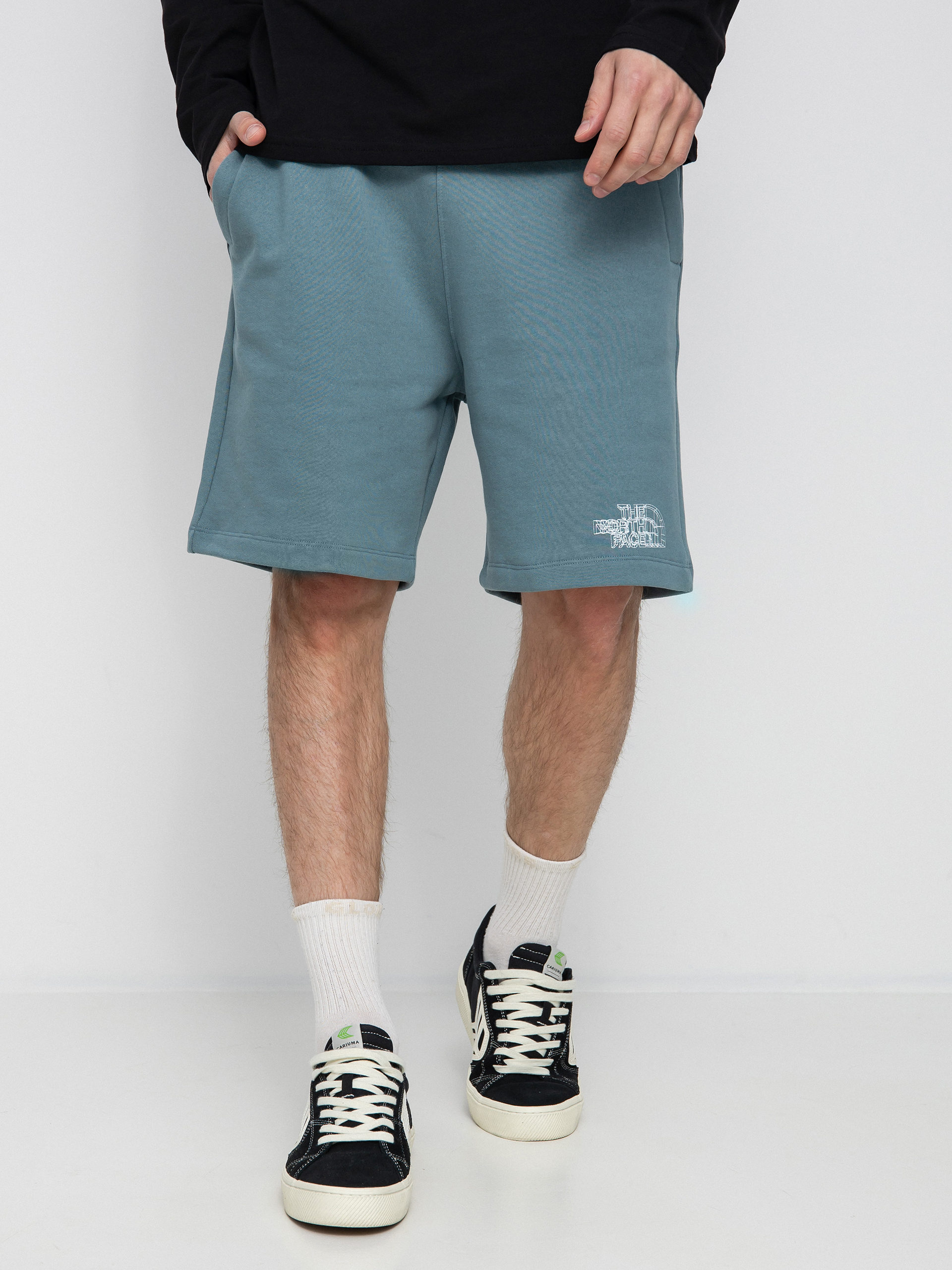 the north face shorts blue