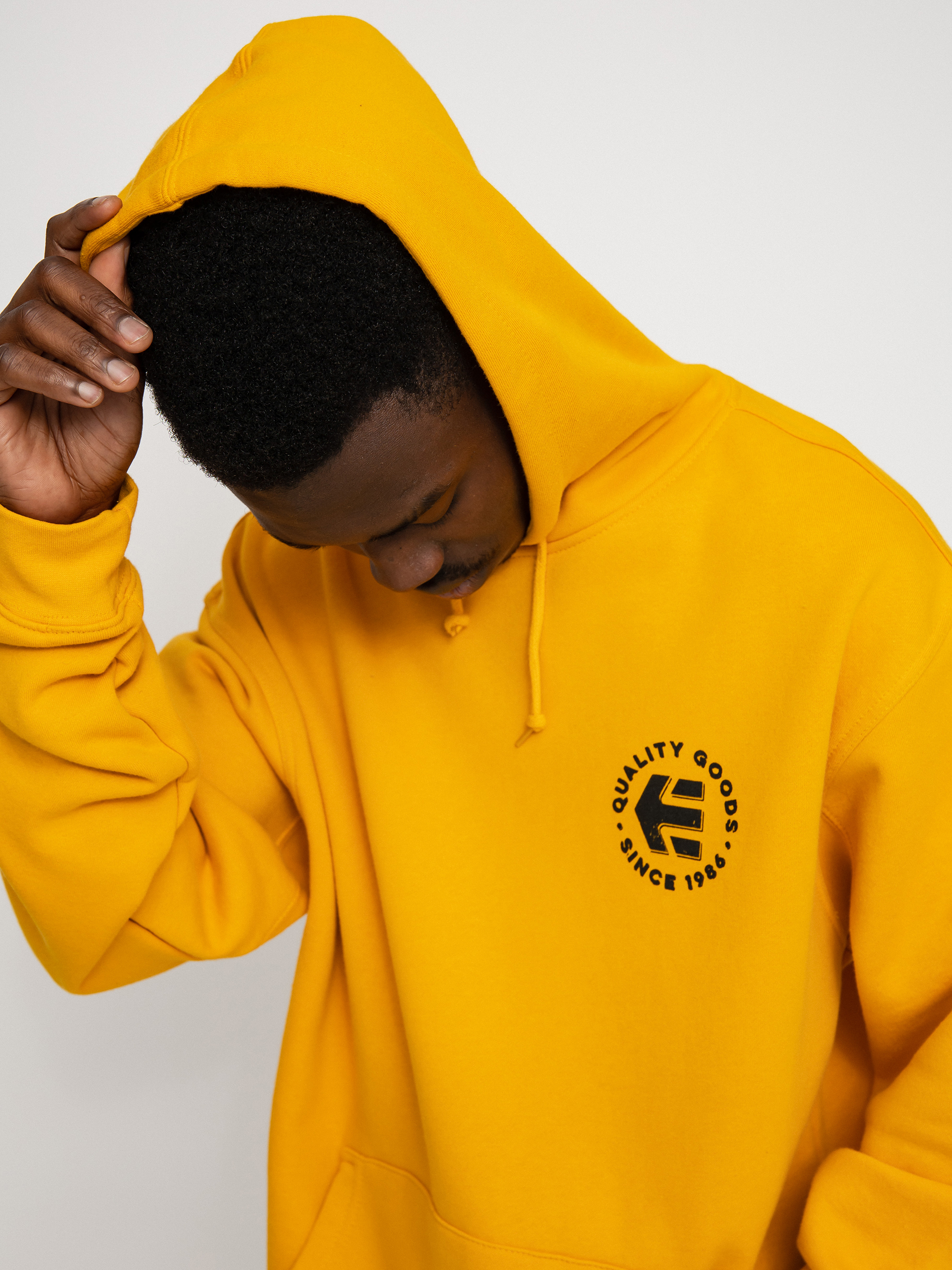 Etnies Since 1986 HD Hoodie (gold)