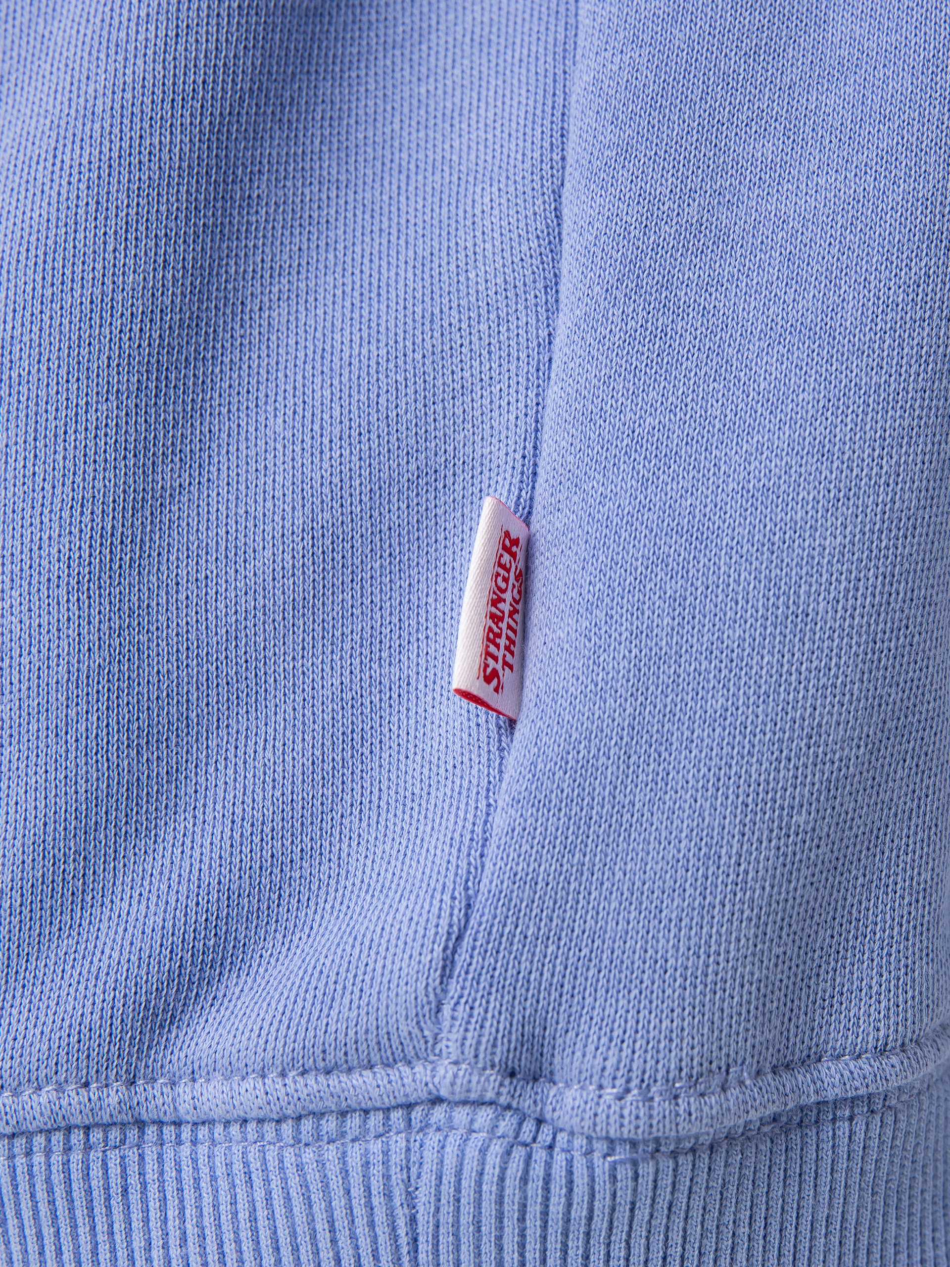 Quiksilver X Stranger Things Official Logo HD Hoodie (jacaranda)
