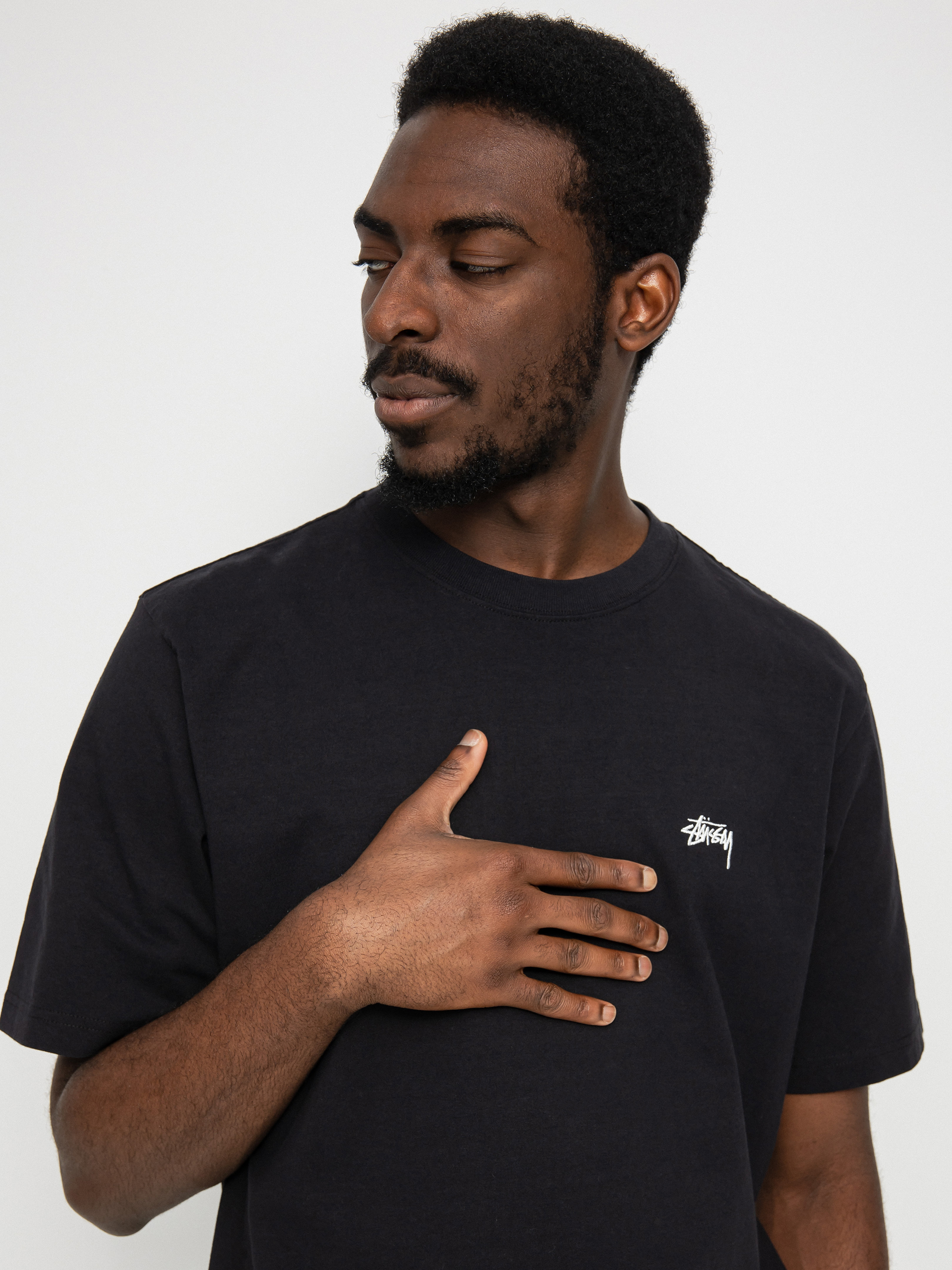 Stussy Stock Logo Crew T-Shirt (black22)