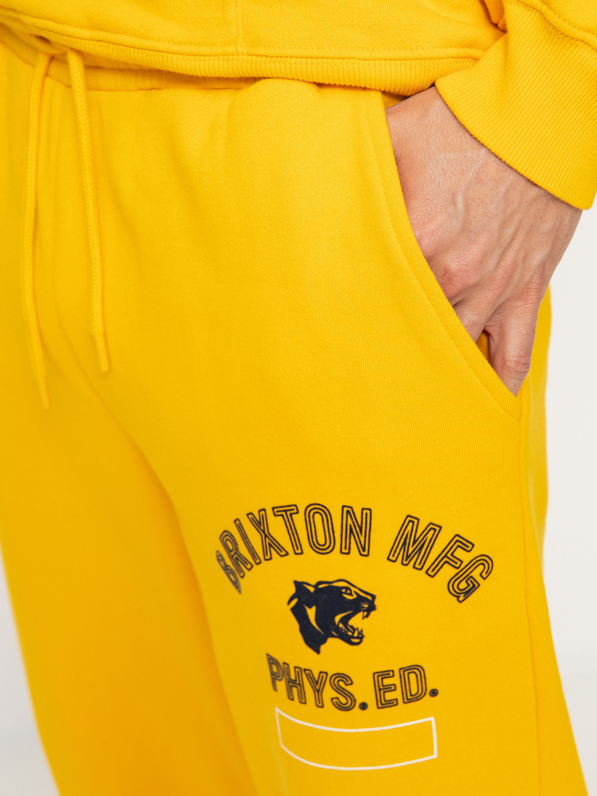 Brixton Phys. Ed. Sweatpant Pants (citrus)