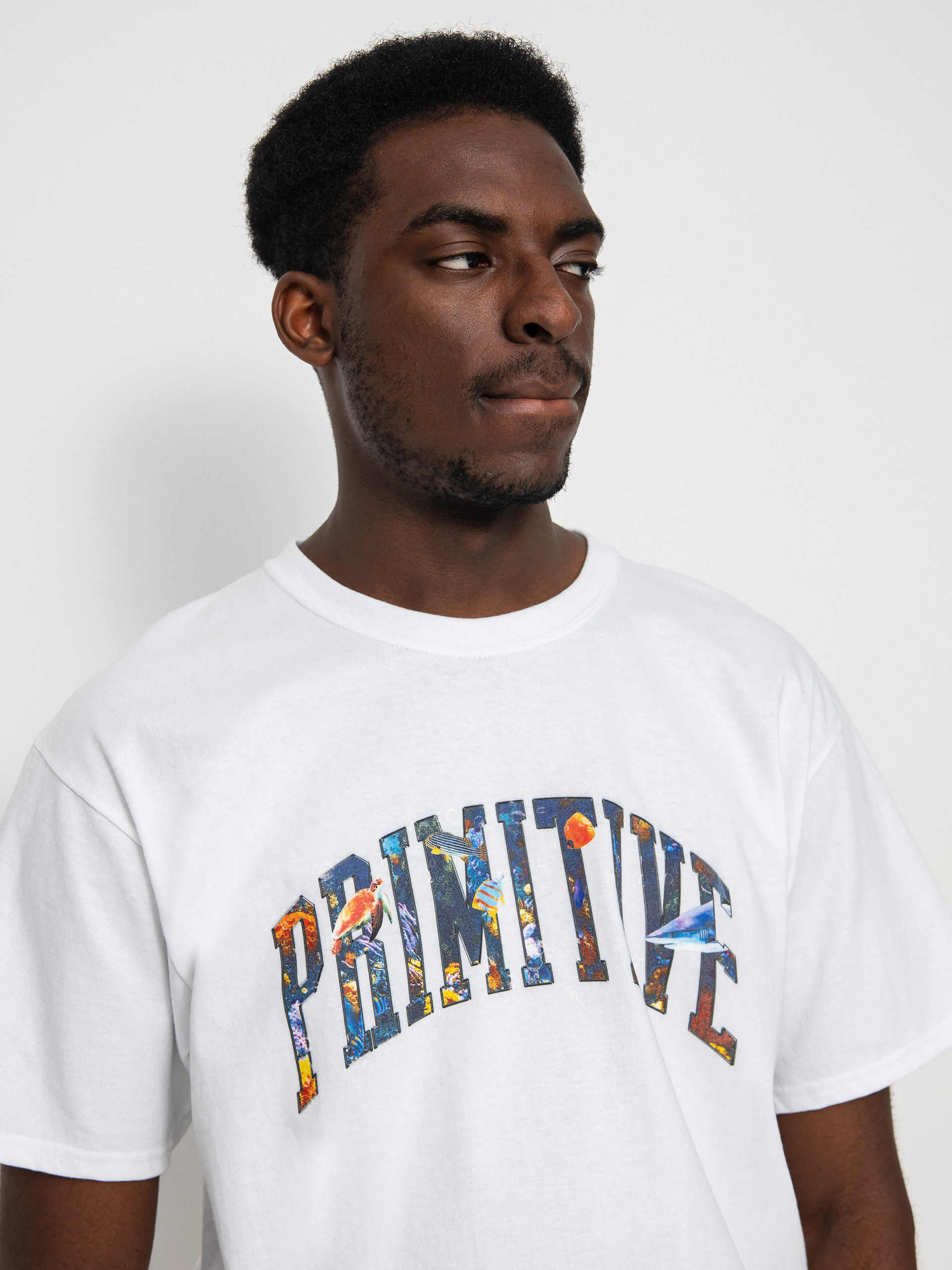 Primitive Collegiate Aquatic T-shirt (white)