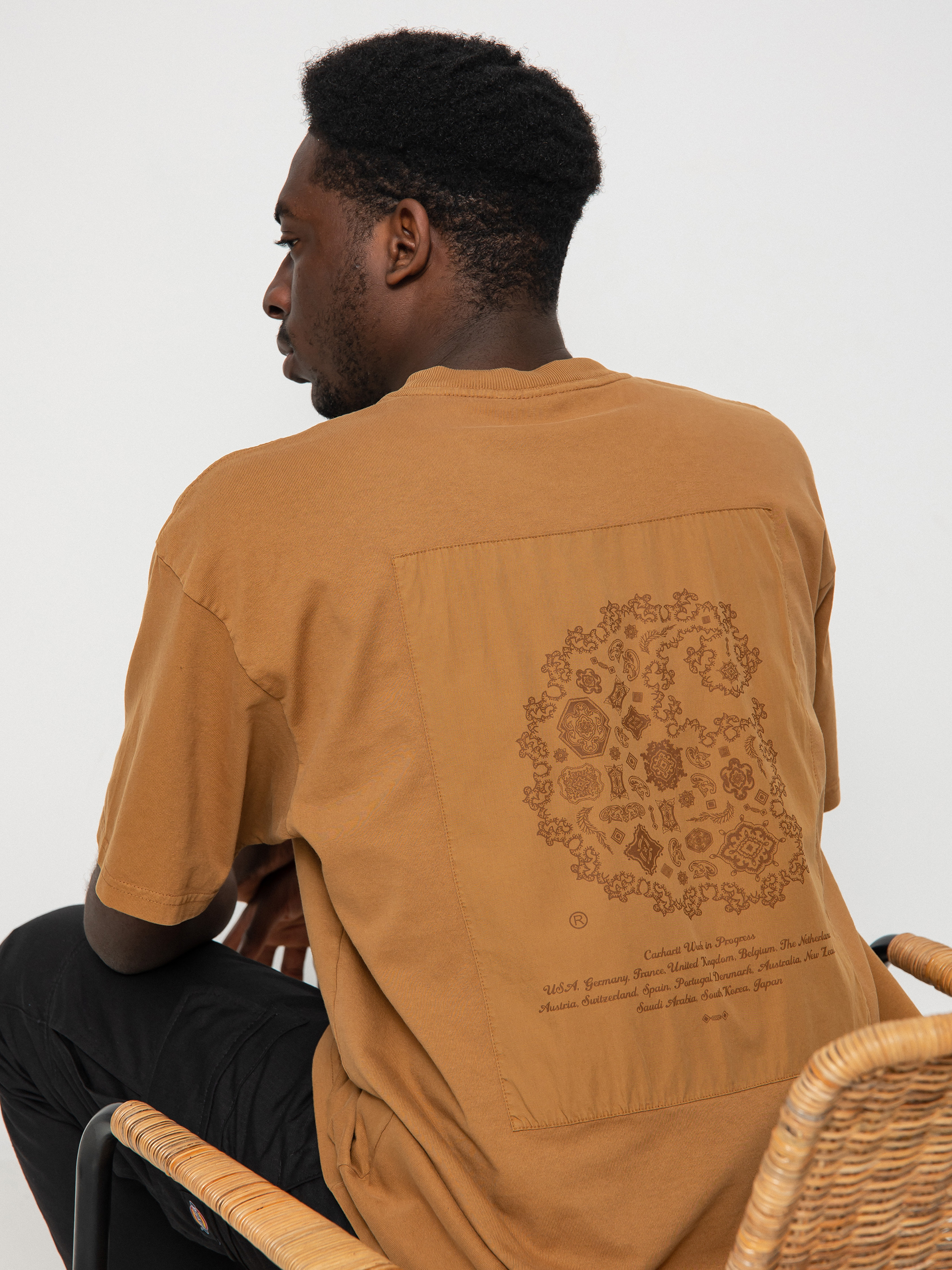 Carhartt WIP Verse Patch T-Shirt (hamilton brown)