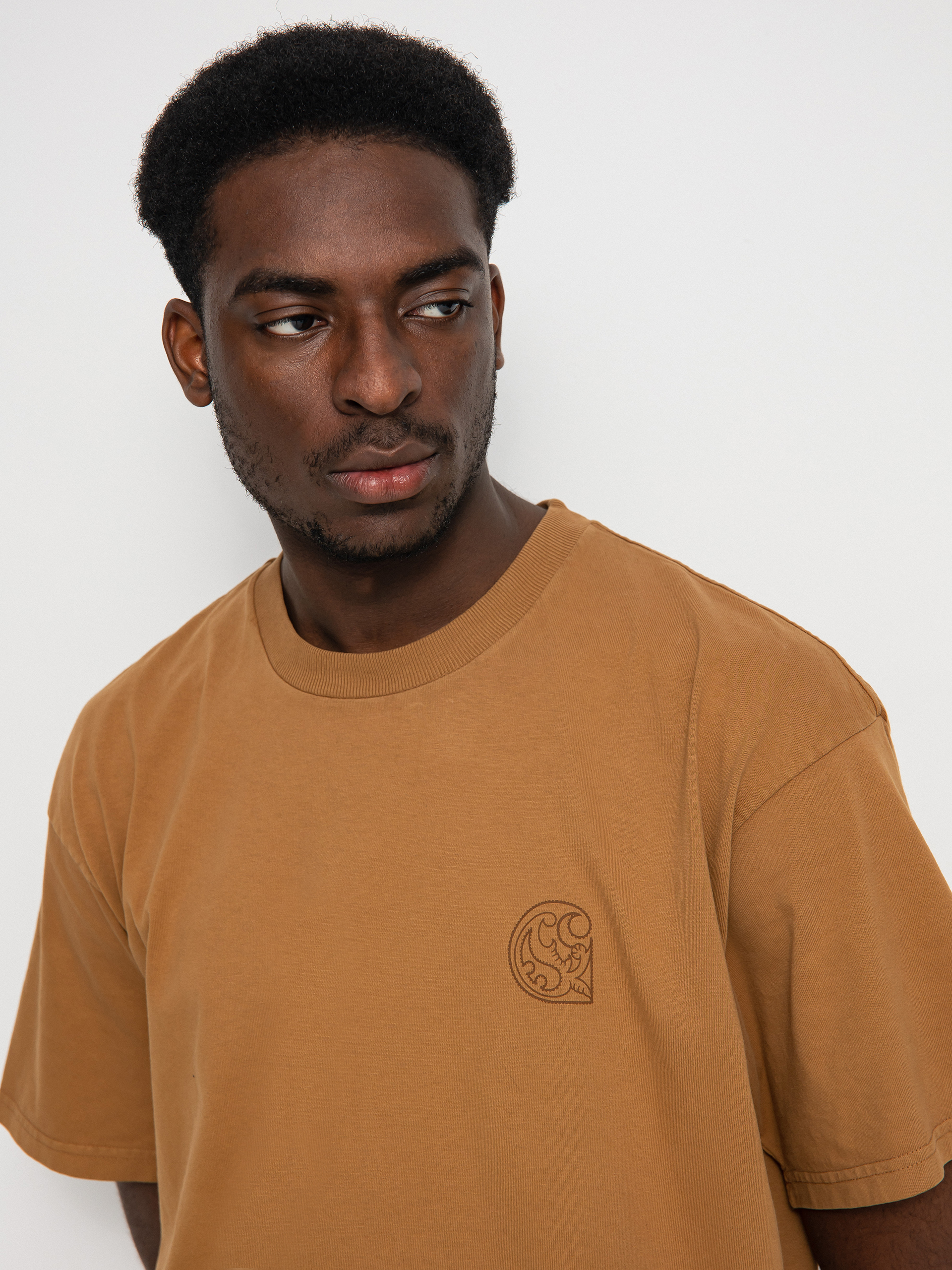 Carhartt WIP Verse Patch T-Shirt (hamilton brown)