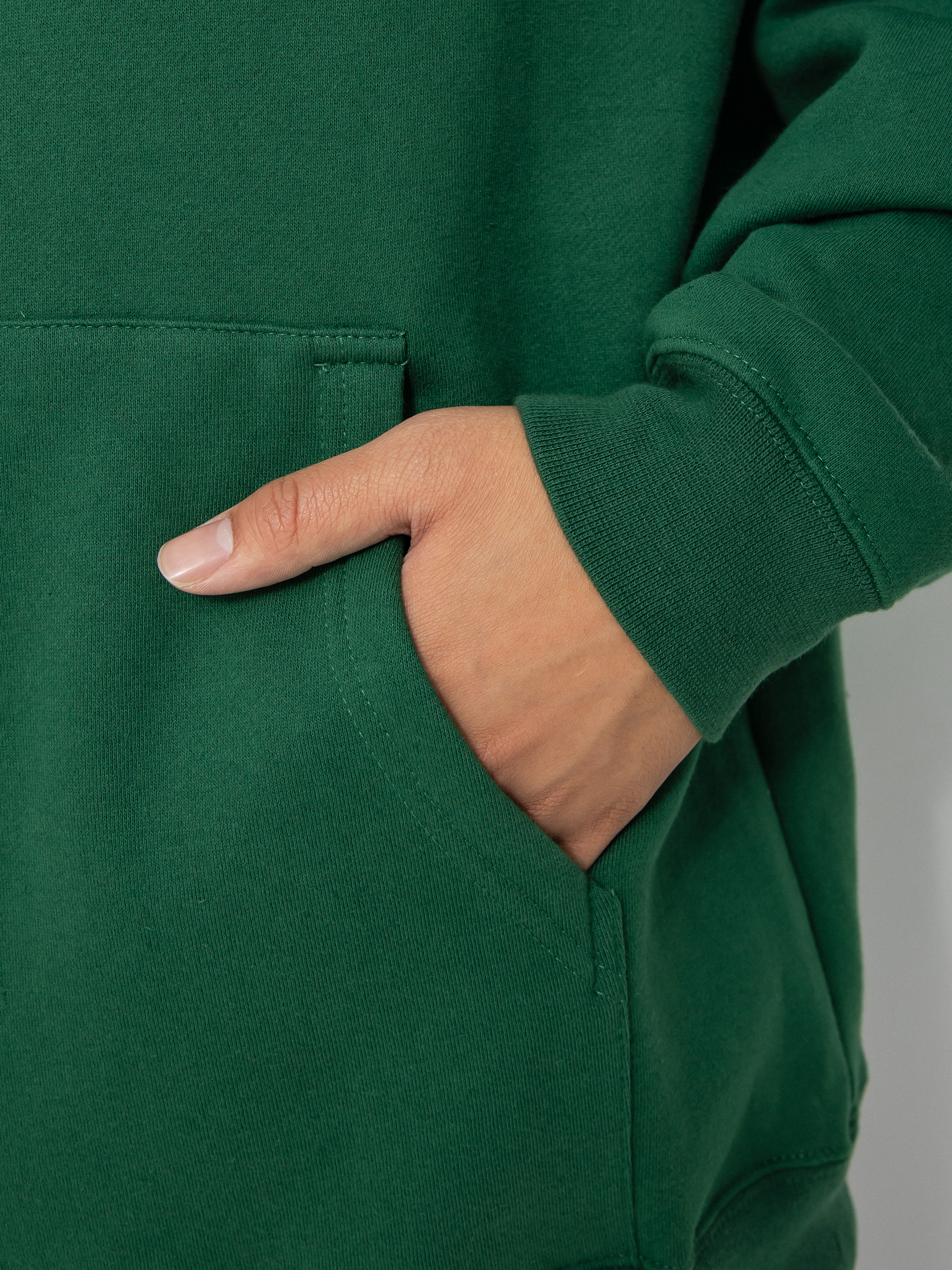 Antihero Eagle HD Hoodie (dark green/brown)