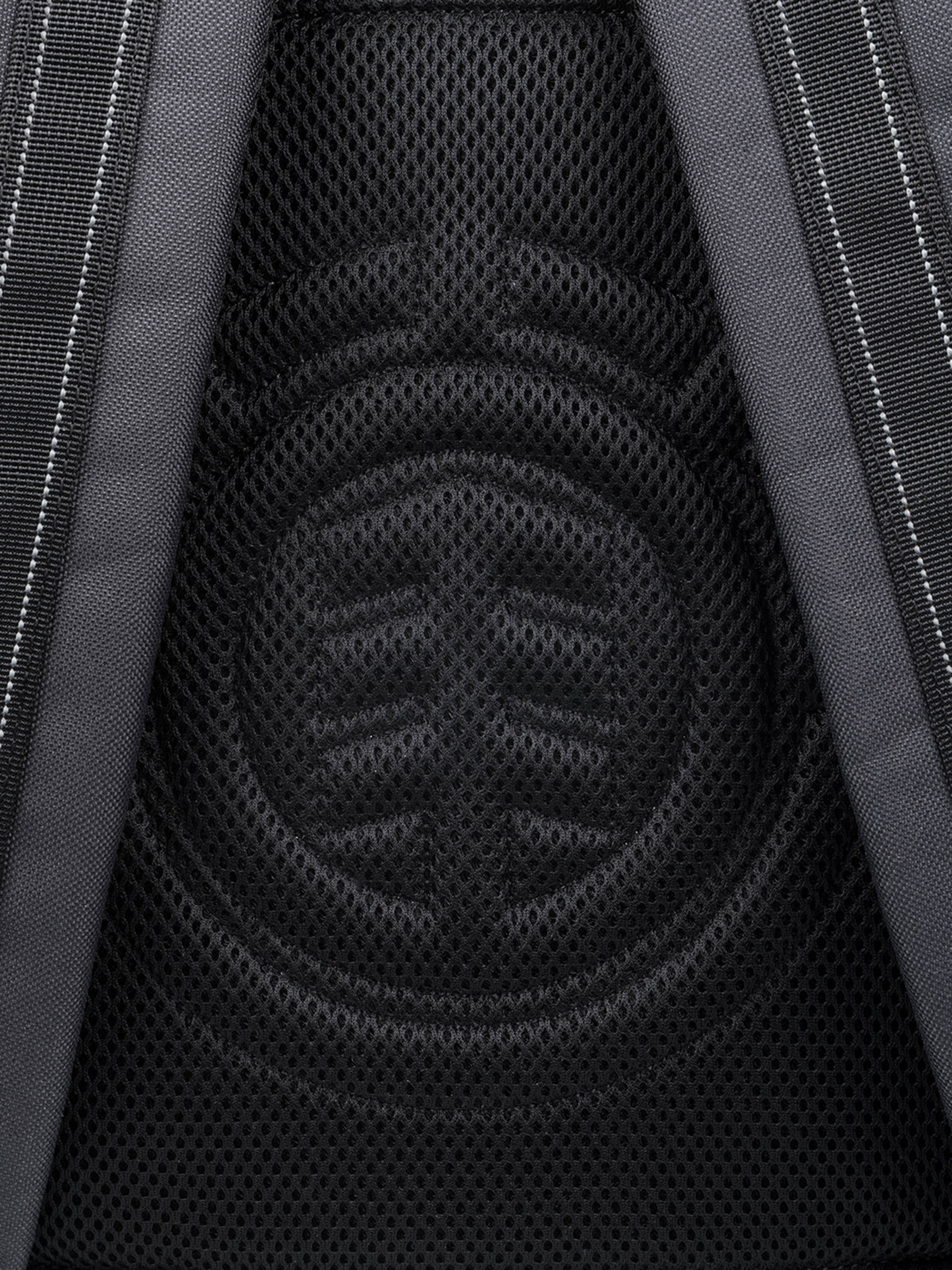 Element Action Backpack (off black)