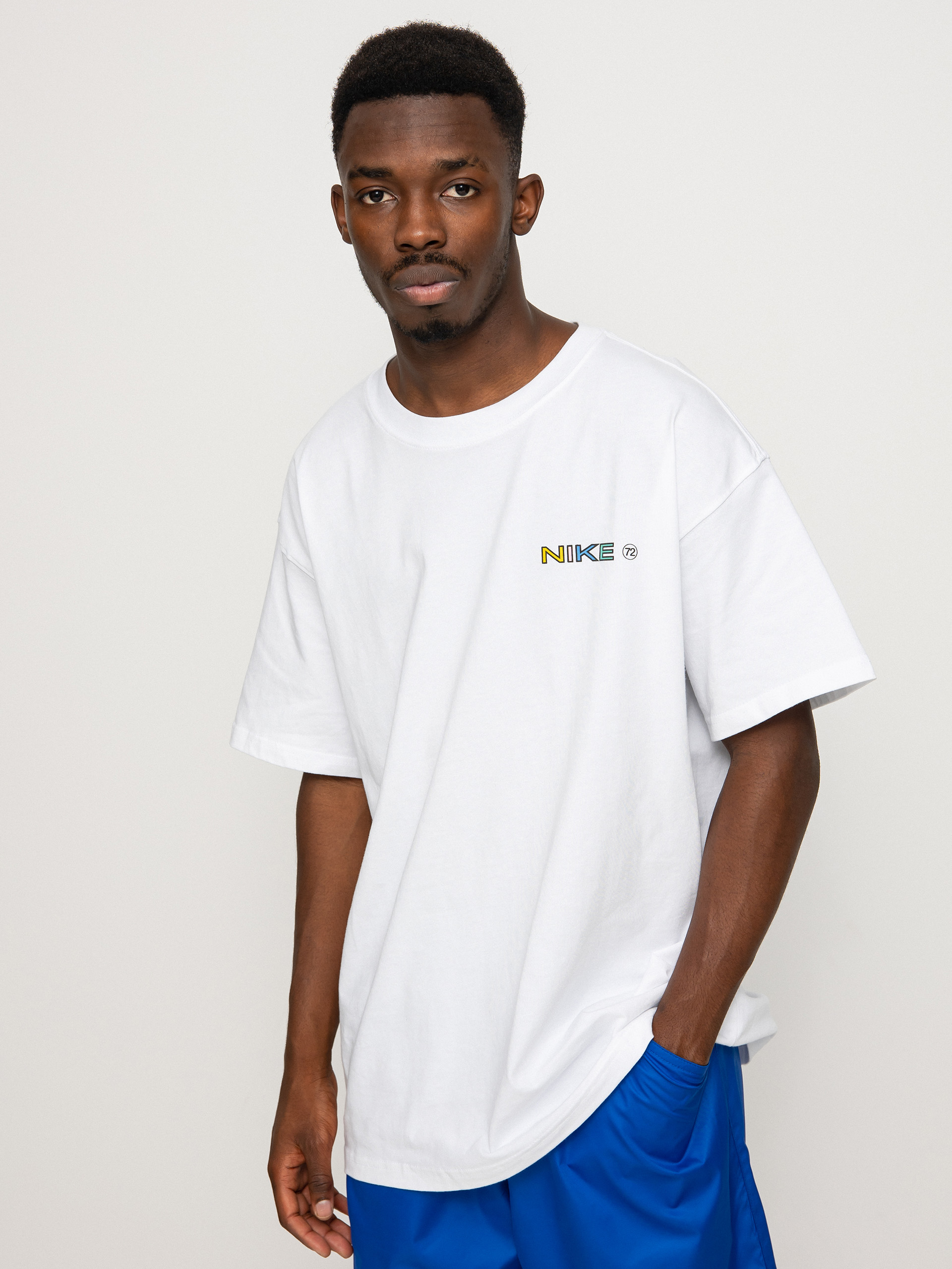 nike sb apple pigeon