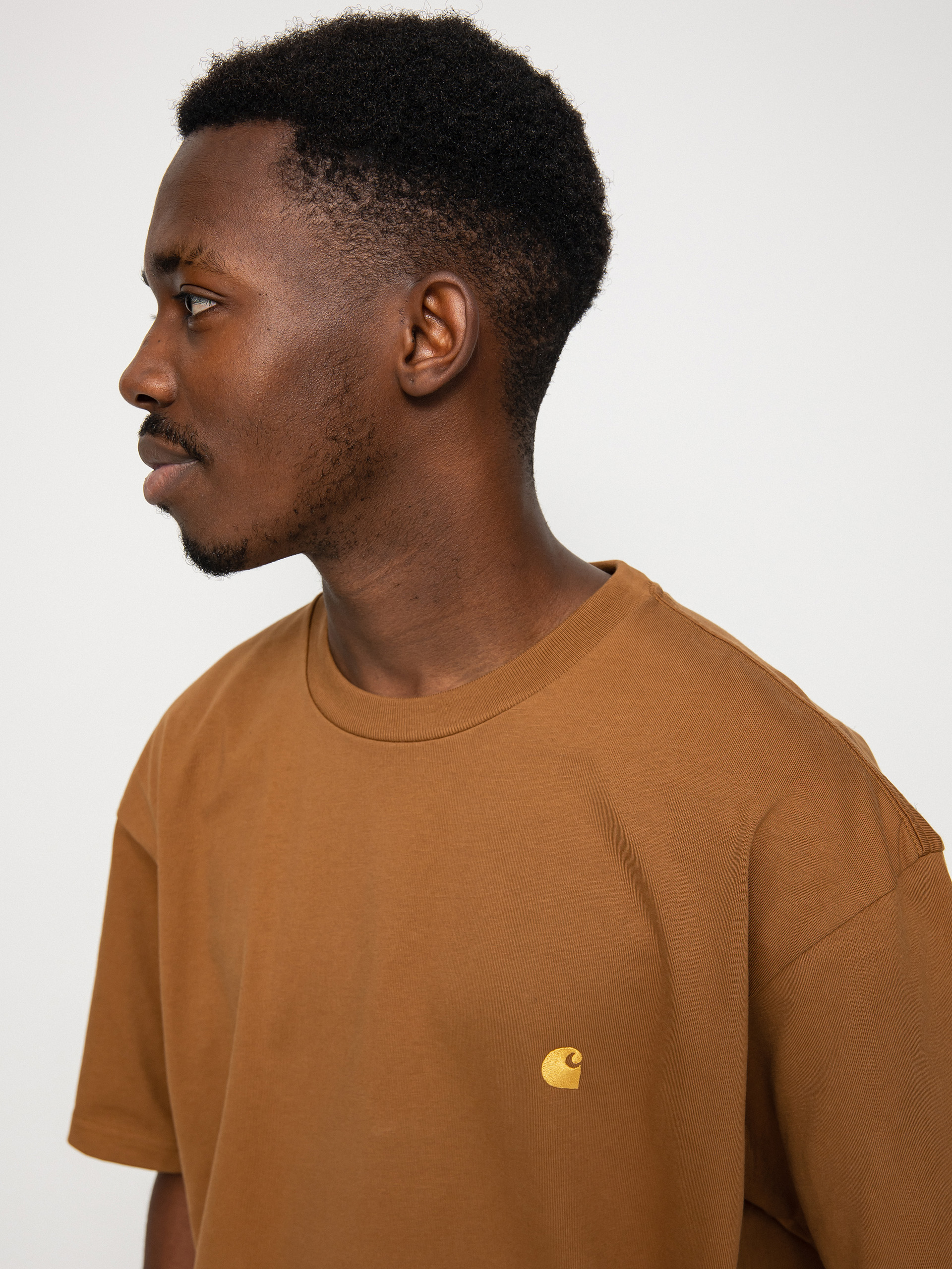 Carhartt WIP Chase T-Shirt (hamilton brown/gold)