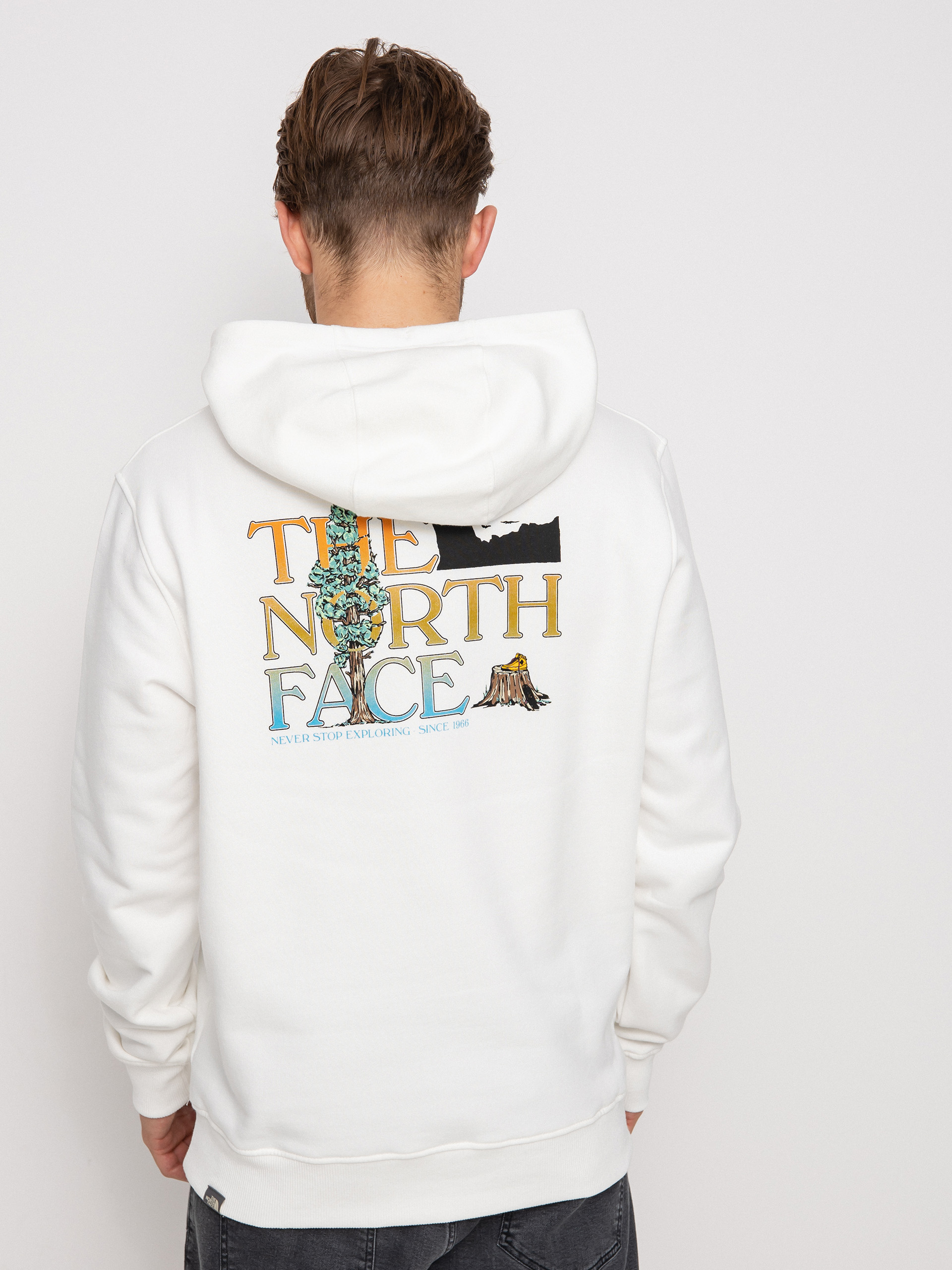 The North Face Seasonal Graphic HD Hoodie (gardenia white)