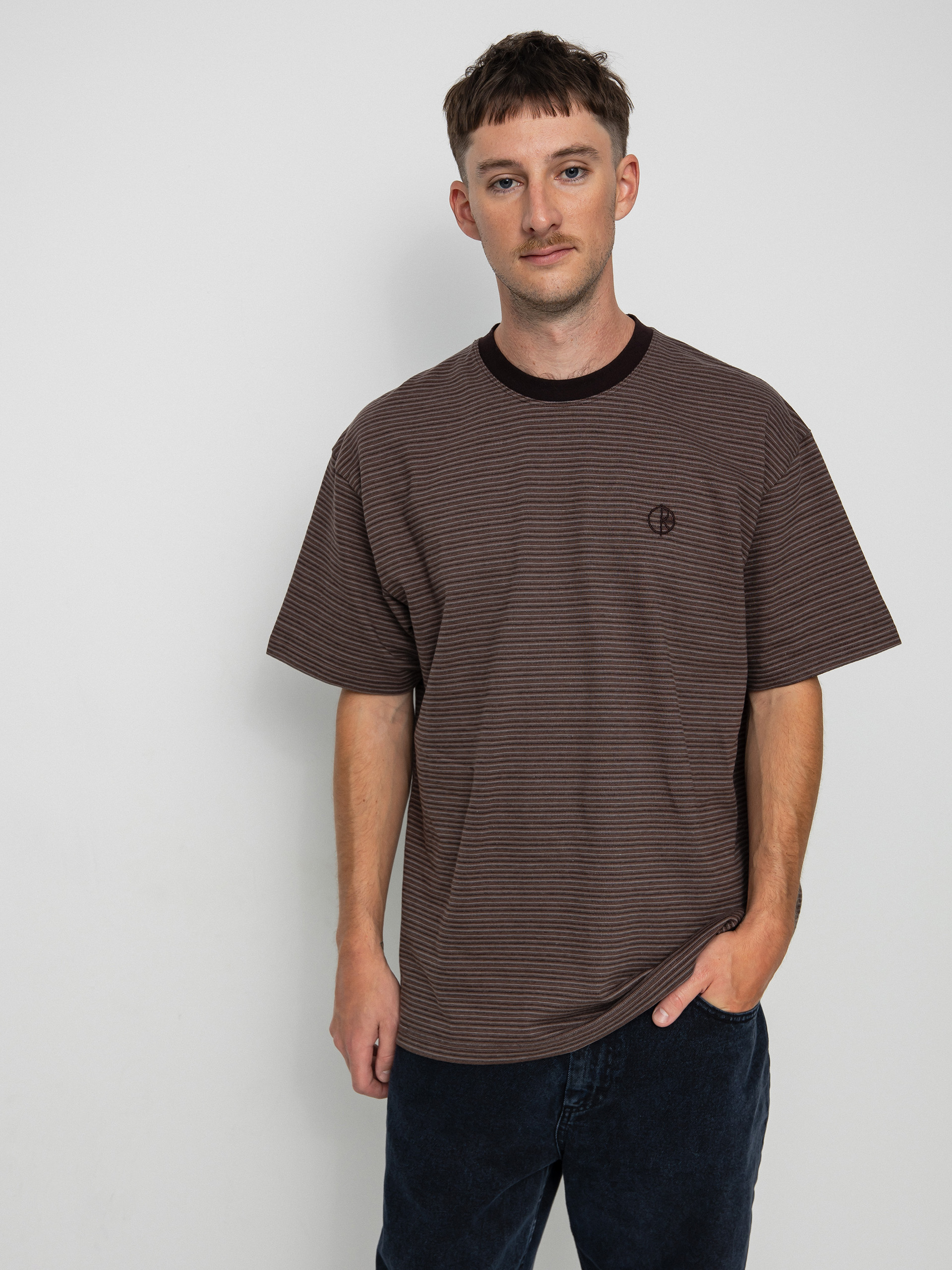 Polar Skate Dizzy Stripe T-shirt (chocolate)