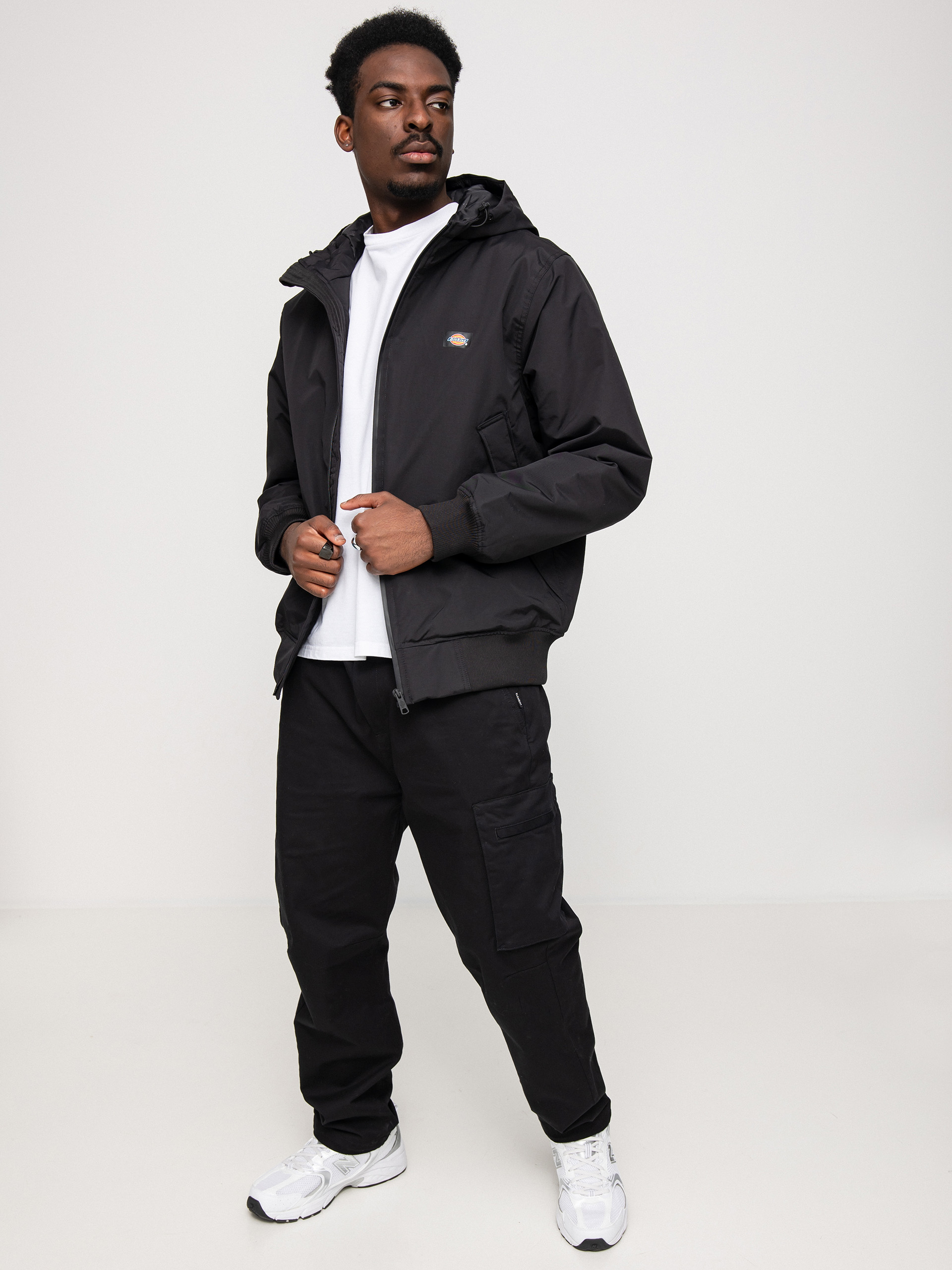 Dickies New Sarpy Jacke (black)