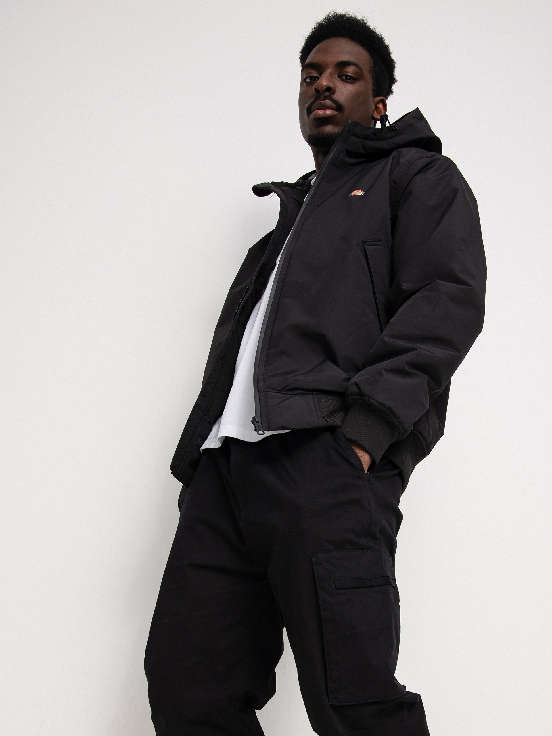 Dickies New Sarpy Jacke (black)