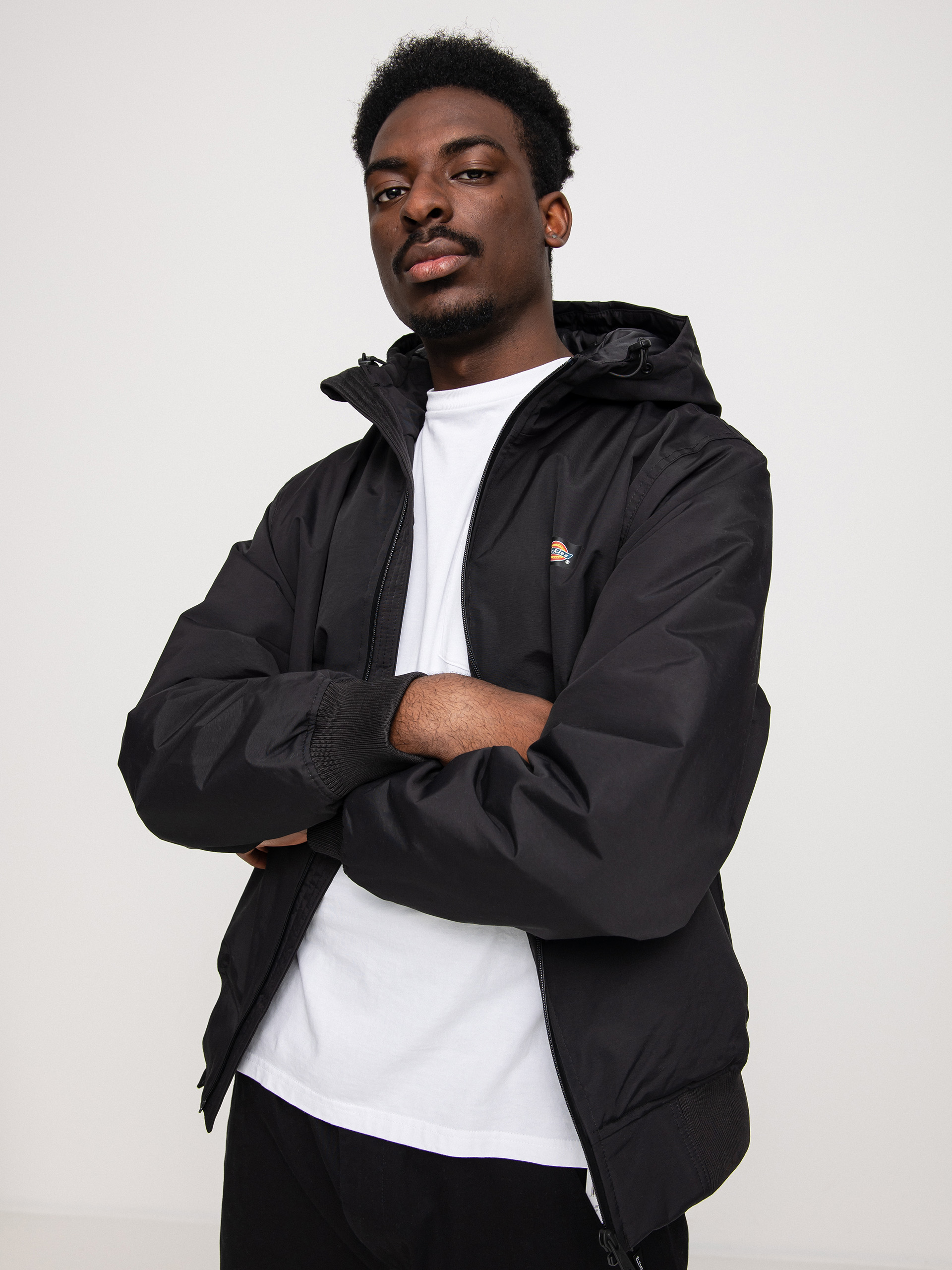 Dickies New Sarpy Jacket black (black)