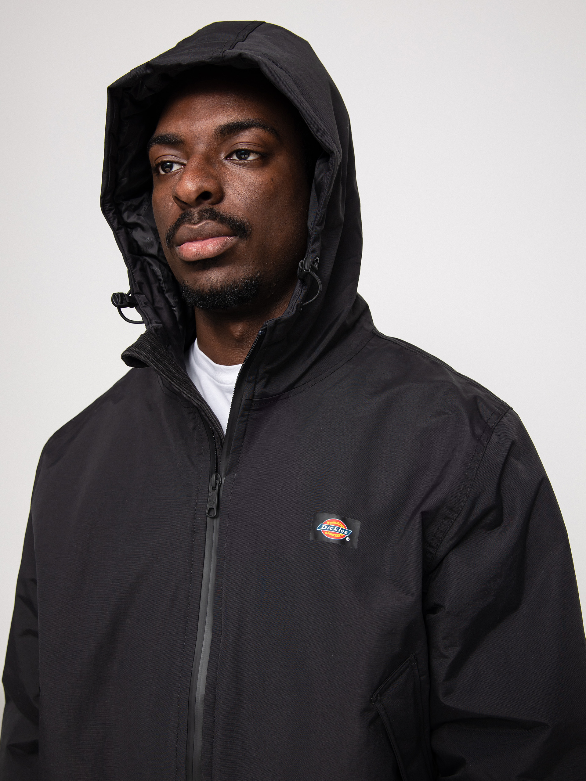 Dickies New Sarpy Jacke (black)