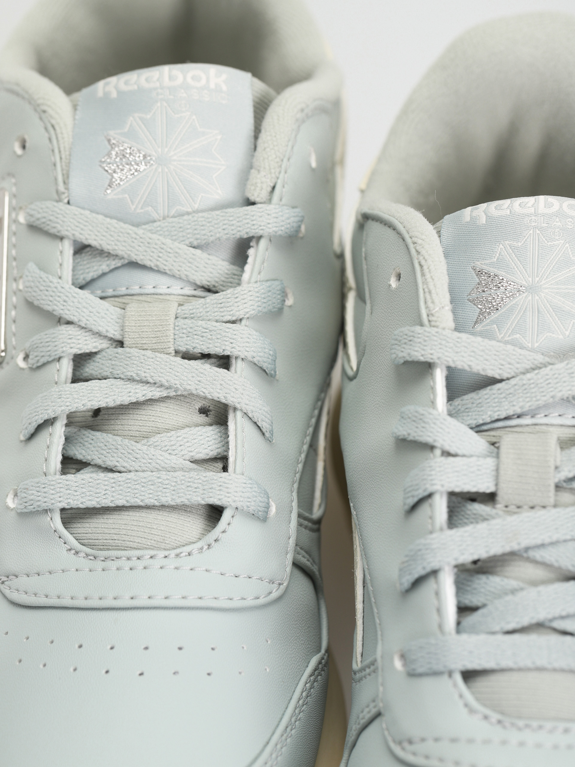 Reebok Classic Sp Vegan Shoes Wmn (seaspr/seaspr/clawht)