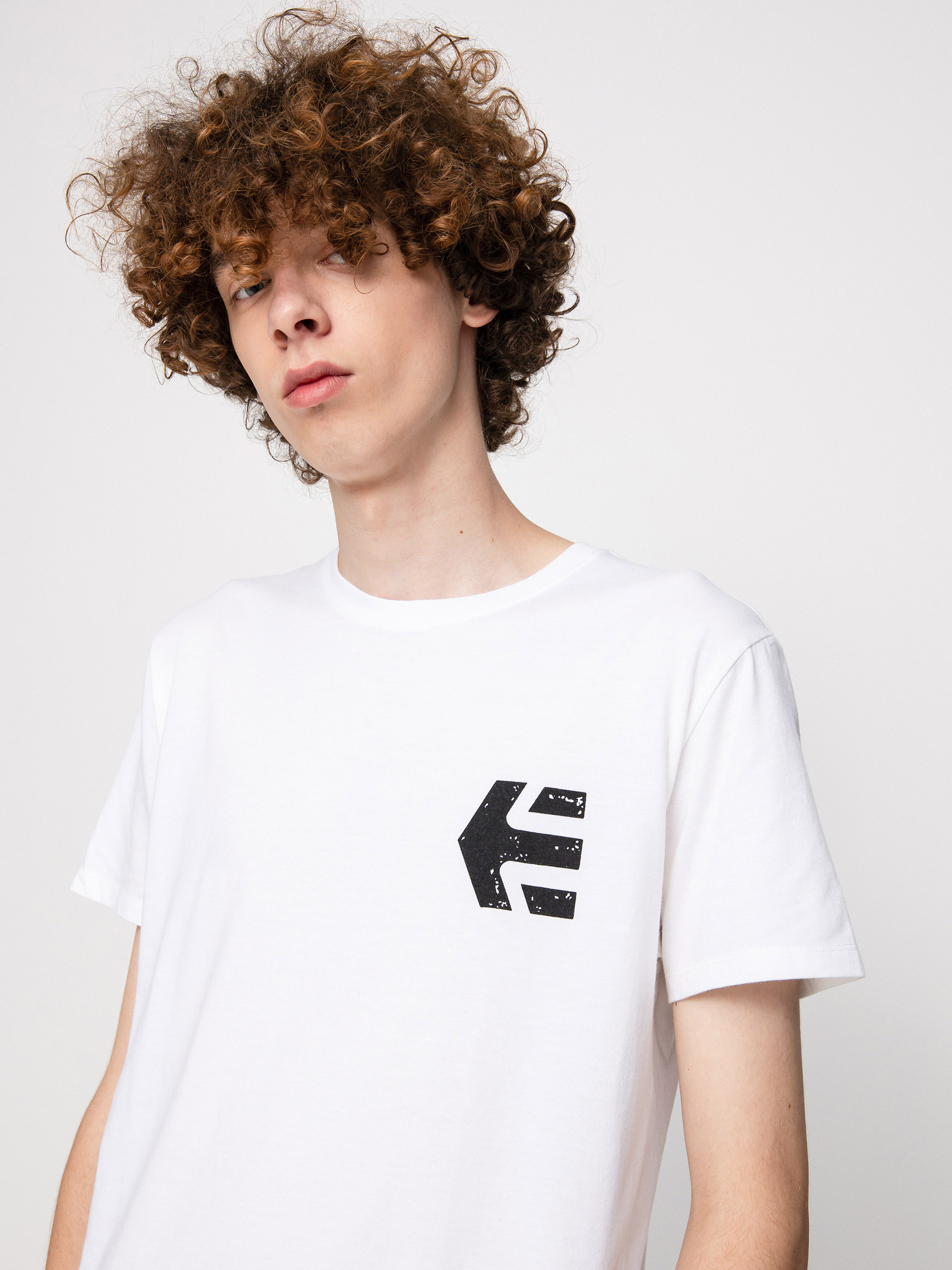 Etnies Skate Co T-shirt white (white/black)