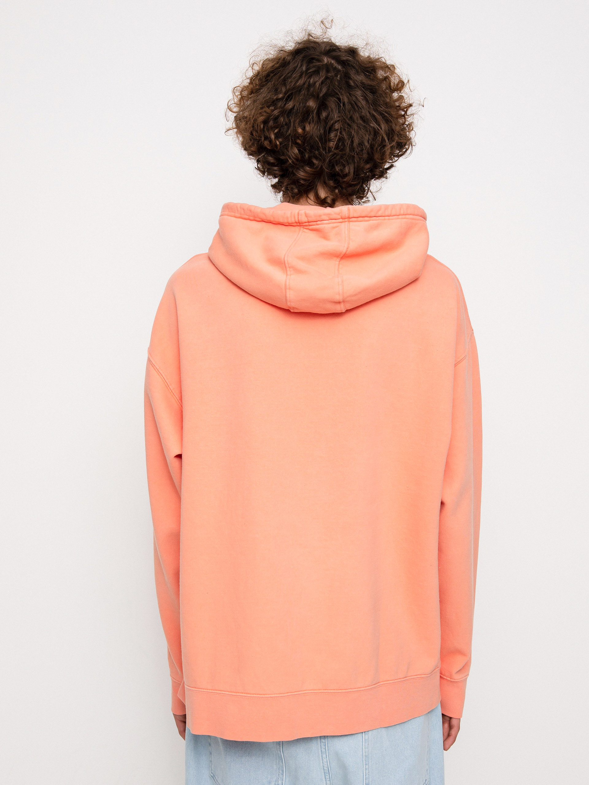 Etnies z kapturem Jw Sweatshirt (rose)