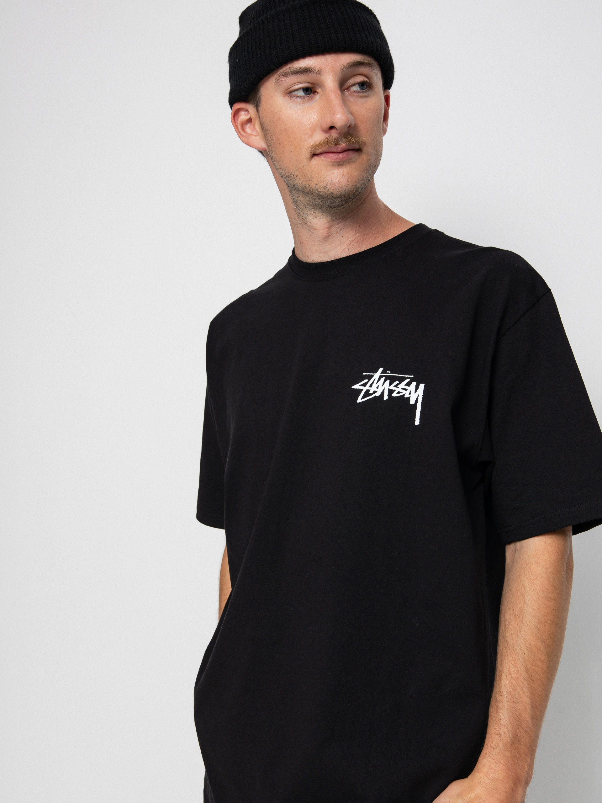 Stussy Ist Lion T-shirt (black)