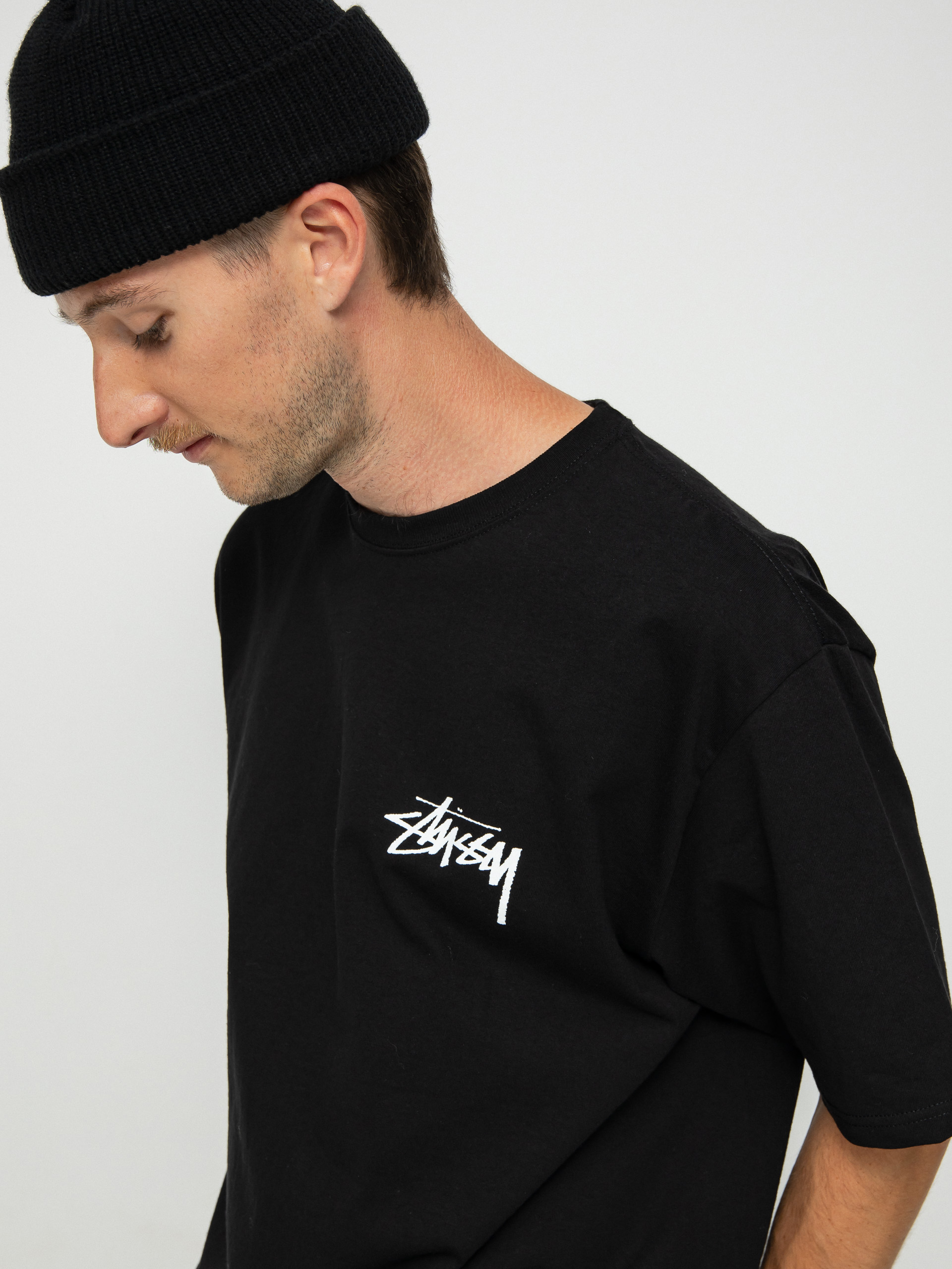 Stussy Ist Lion T-shirt (black)