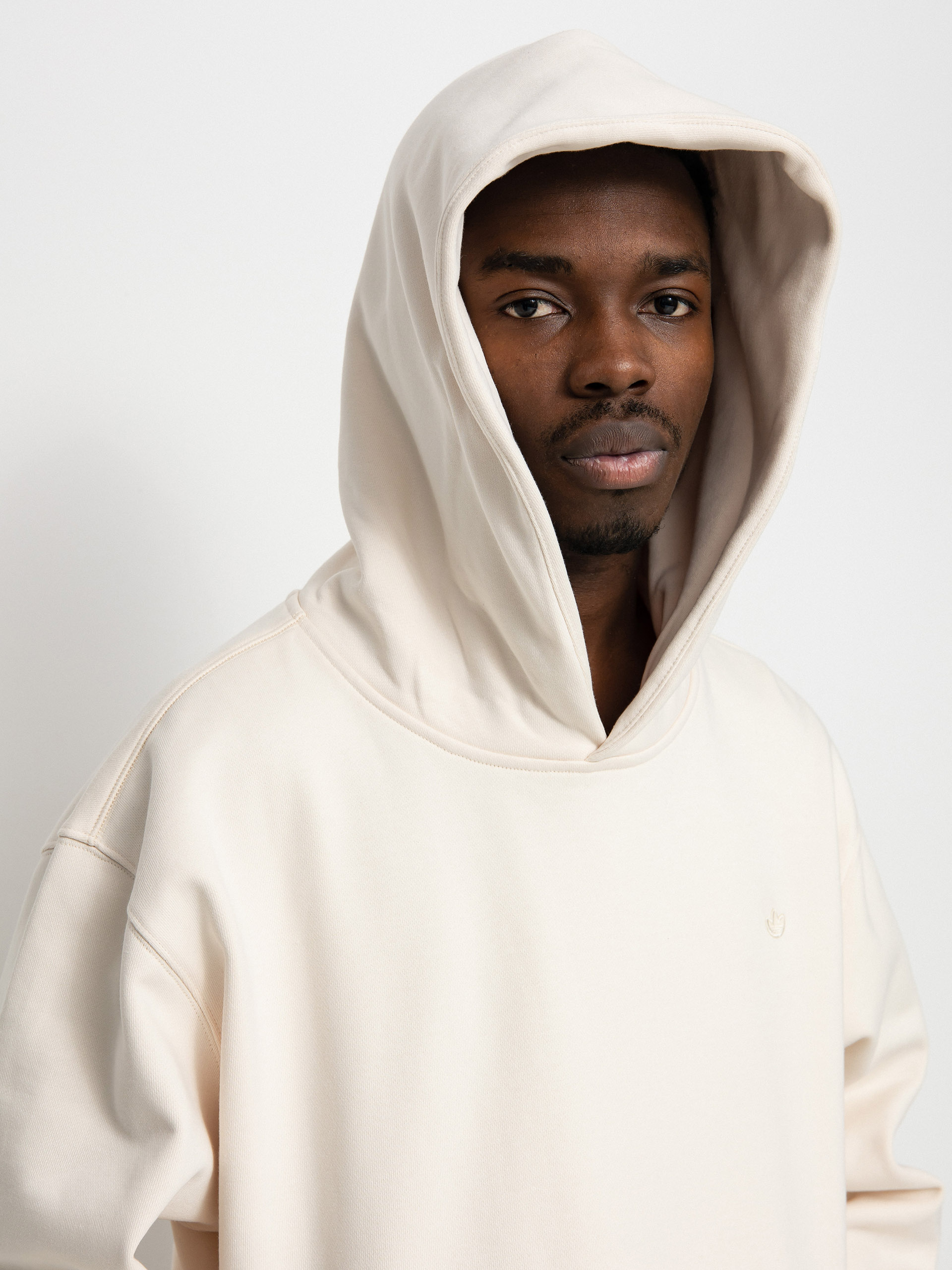 adidas Originals Icon Shmoo HD Hoodie (wonwhi)