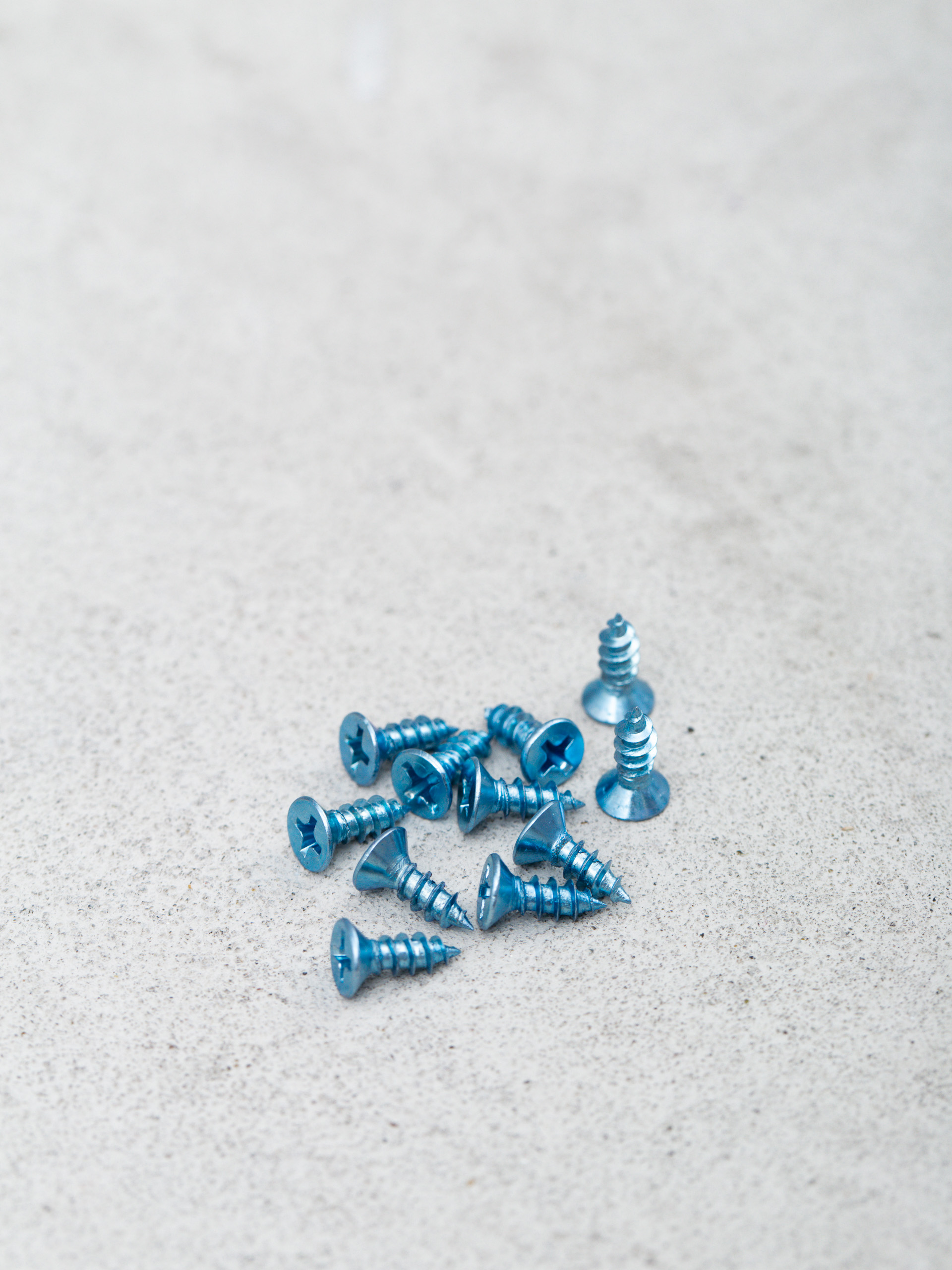 Pig Railsy Rails Rails (zebra)