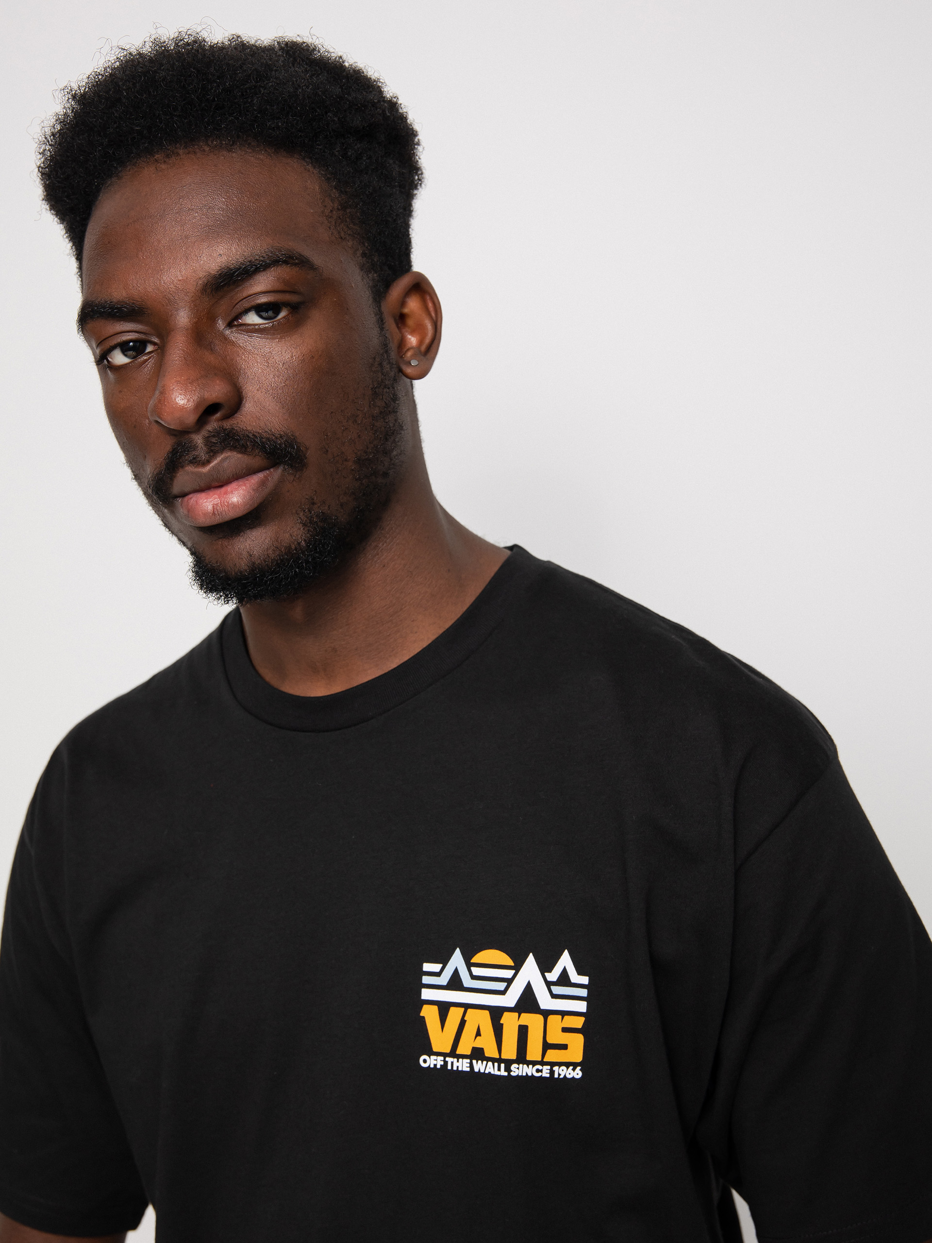 Vans Mountain T-shirt (black)