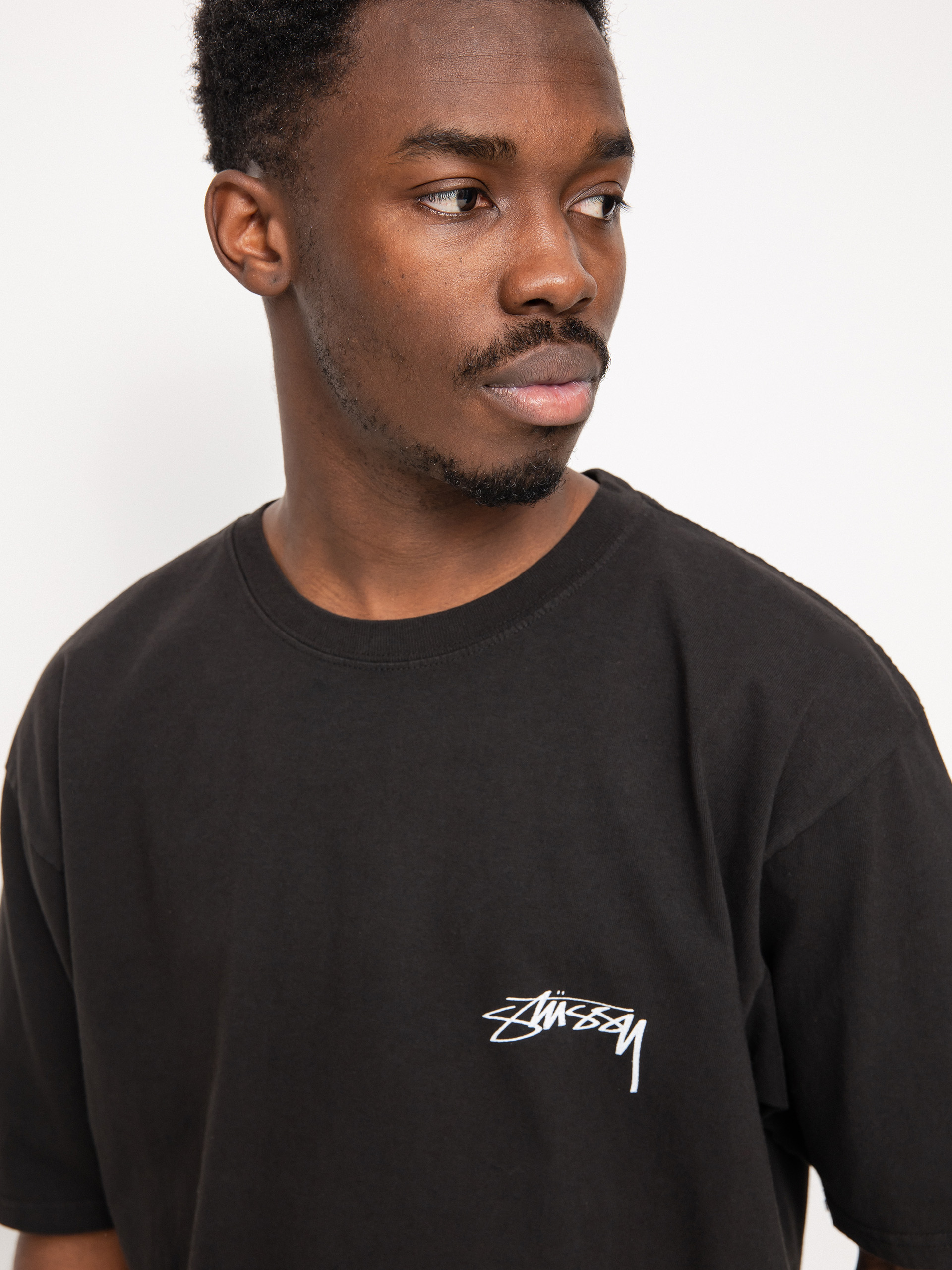 Stussy 100% Pig. Dyed T-shirt - black (black)