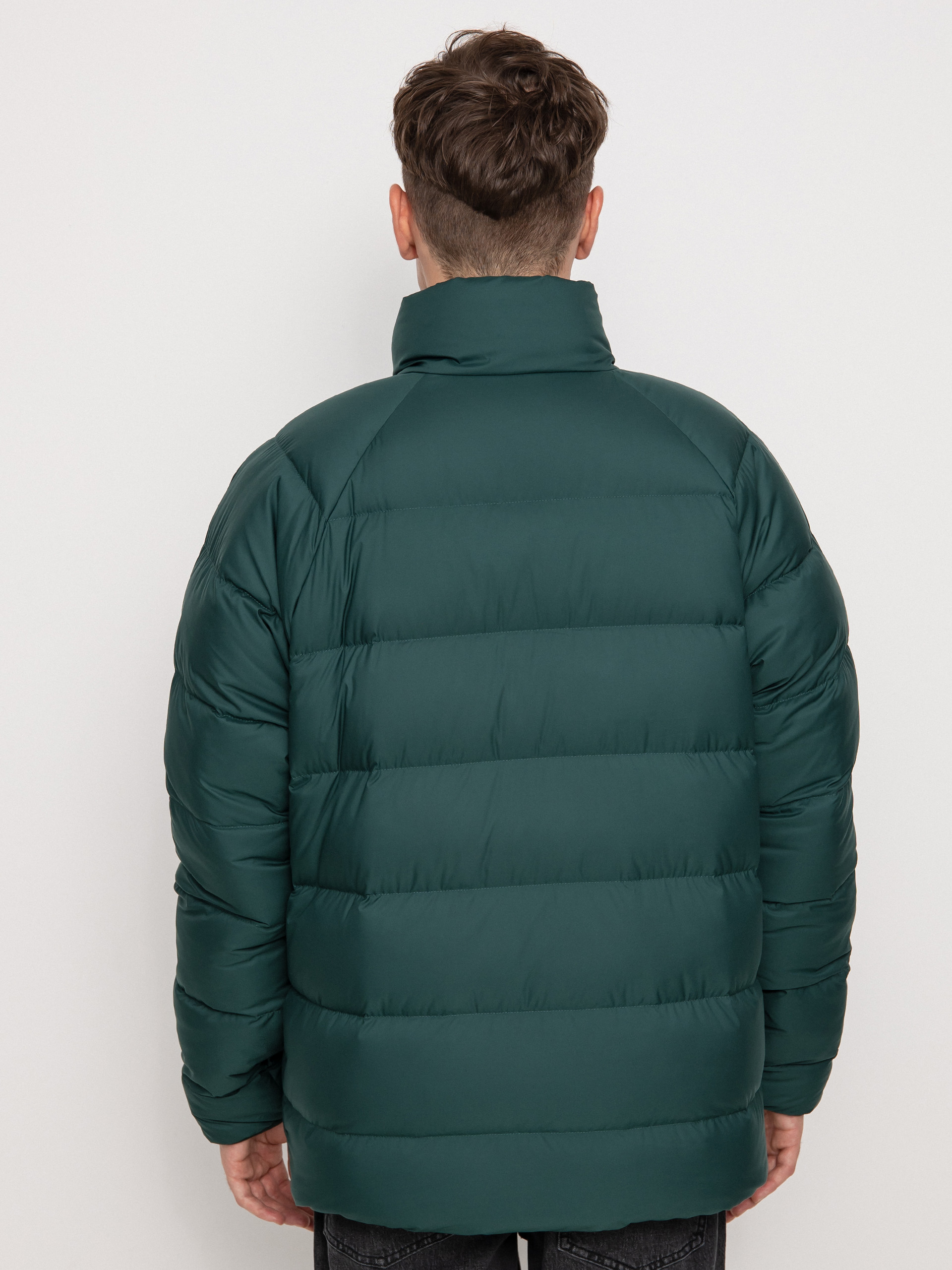 Patagonia Reversible Silent Down Jacket (northern green)